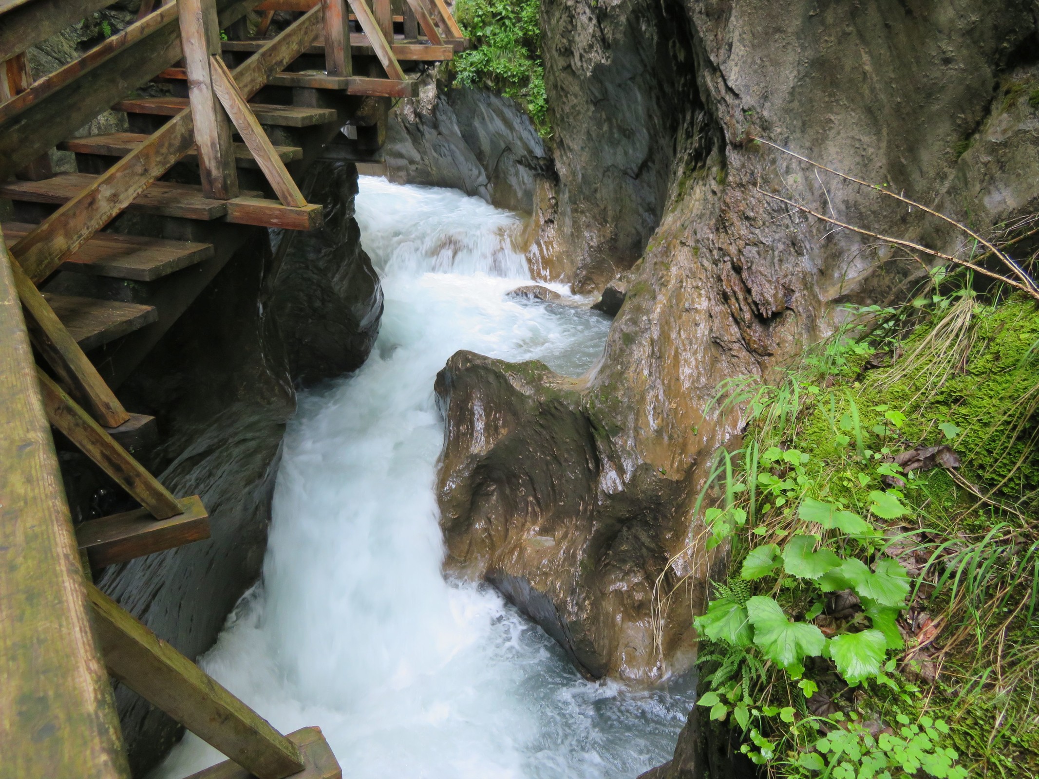 20200628_1_Sigmund-Thun-Klamm & Klammsee_09_klein.jpg