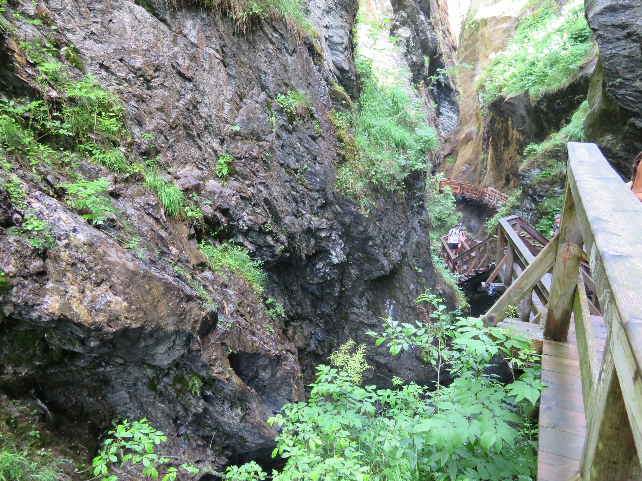 20200628_1_Sigmund-Thun-Klamm & Klammsee_32_klein.jpg