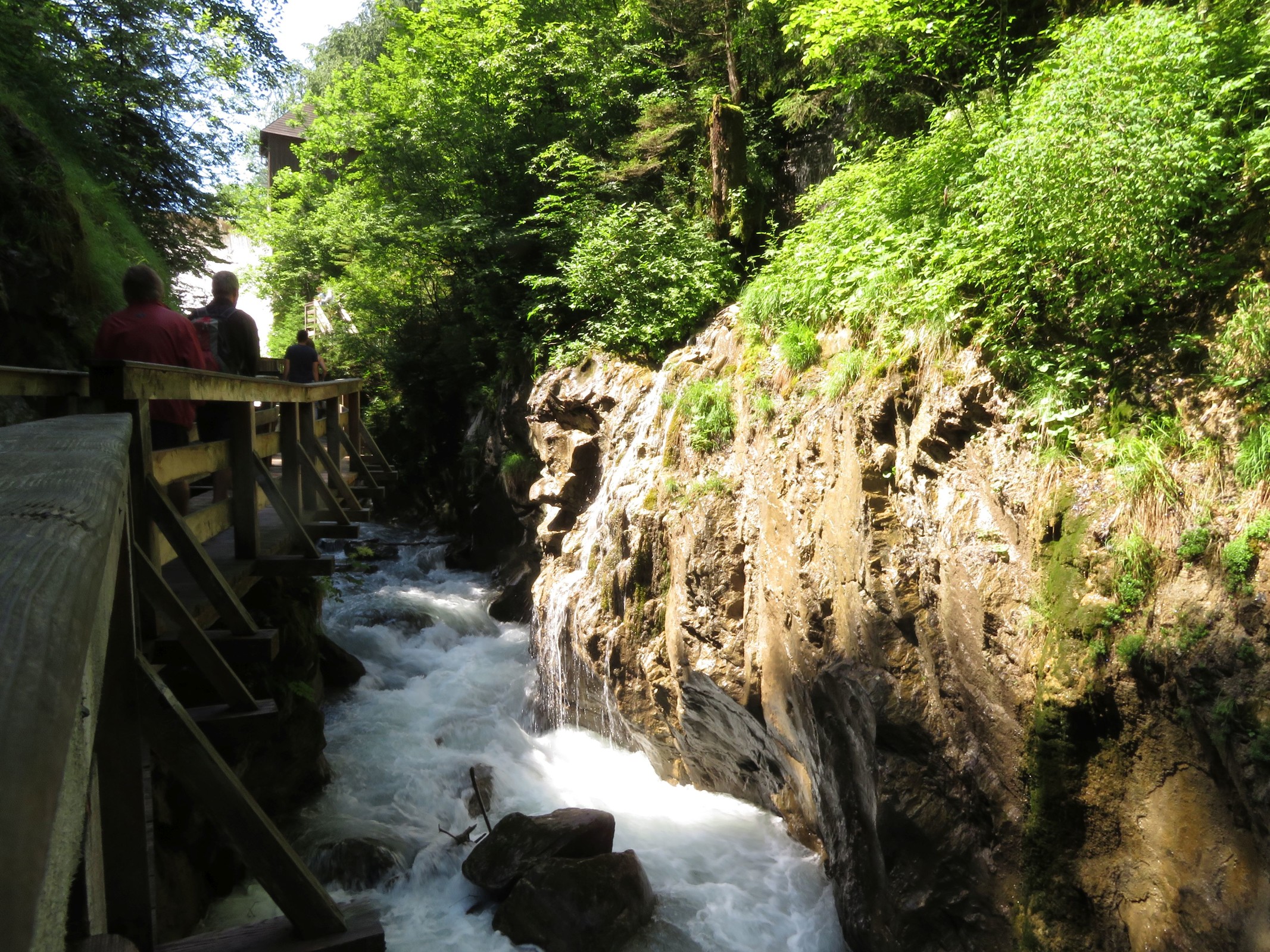 20200628_1_Sigmund-Thun-Klamm & Klammsee_34_klein.jpg