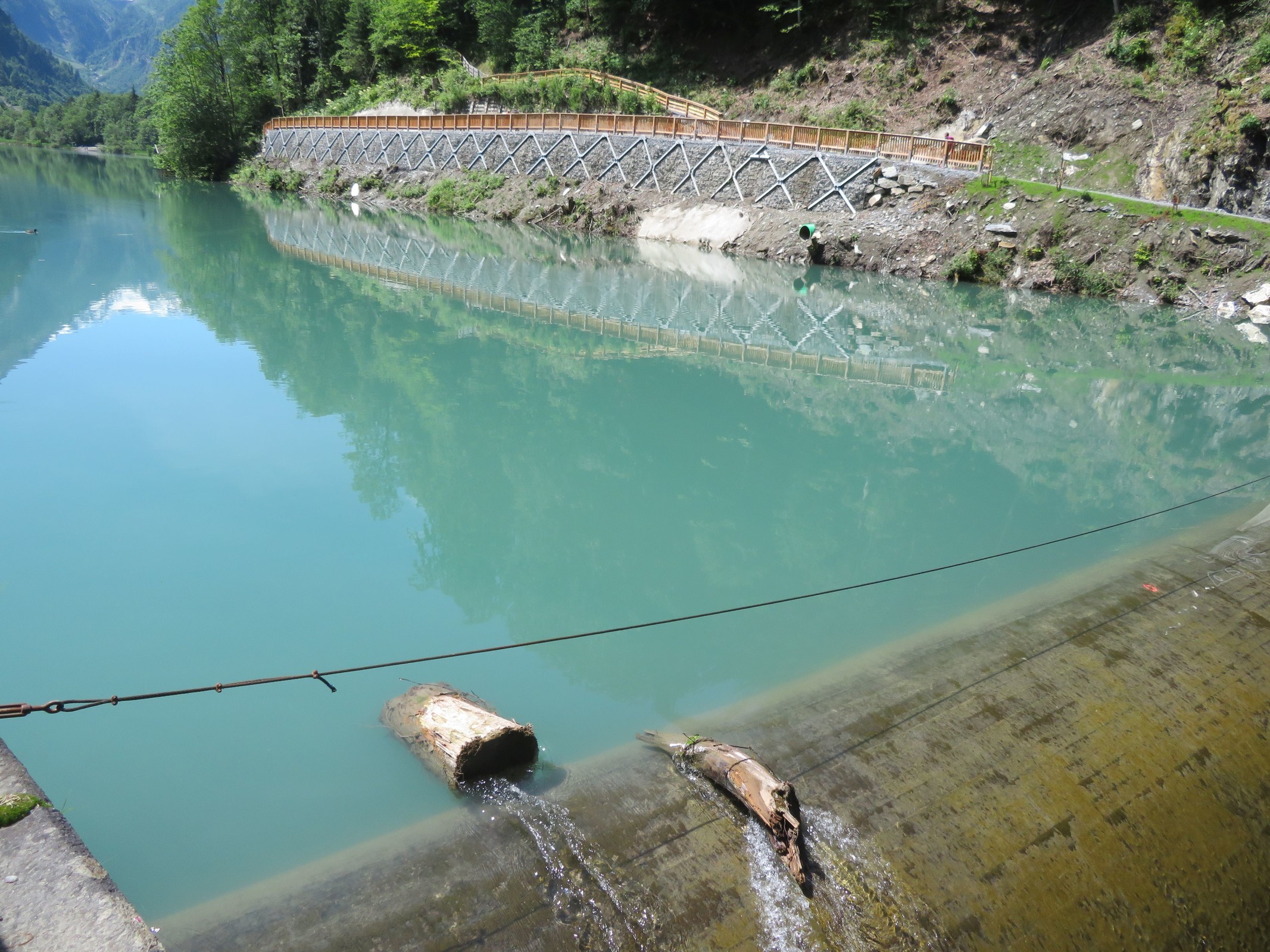 Sich am Überlauf des Stausees stauende Baumstämme.