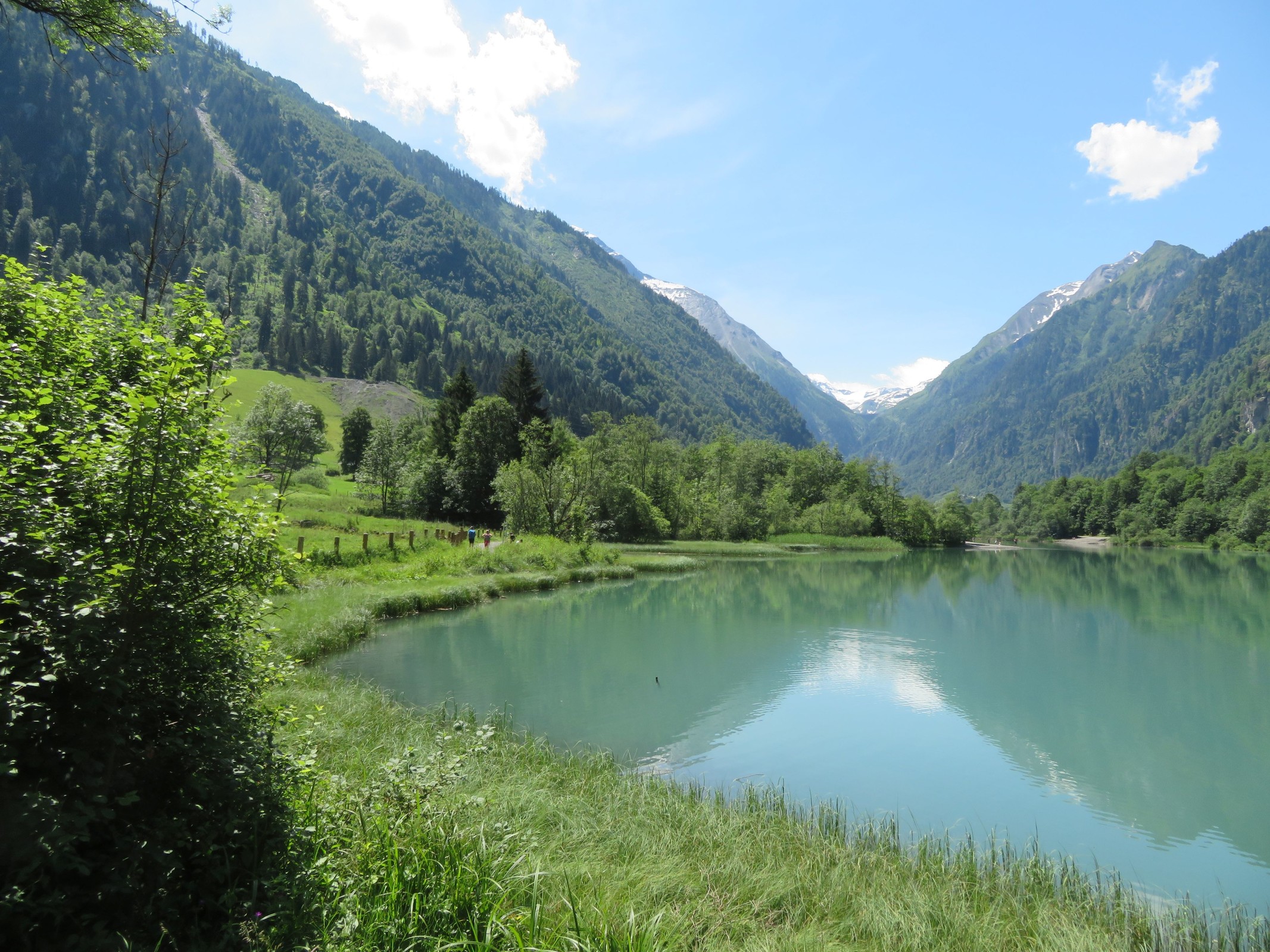Östliches Ufer des Klammsees.