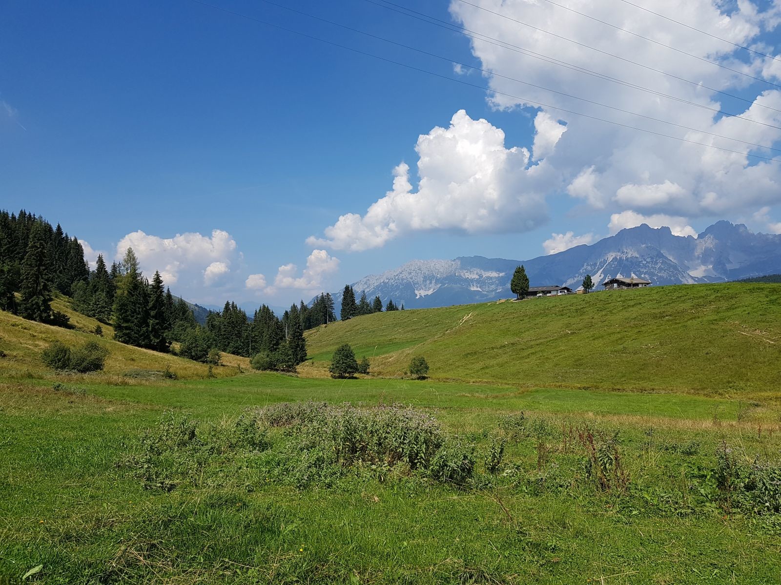 Wir befinden uns am Forstweg auf Höhe der Abzweigung nach Reith bei Kitzbühel.