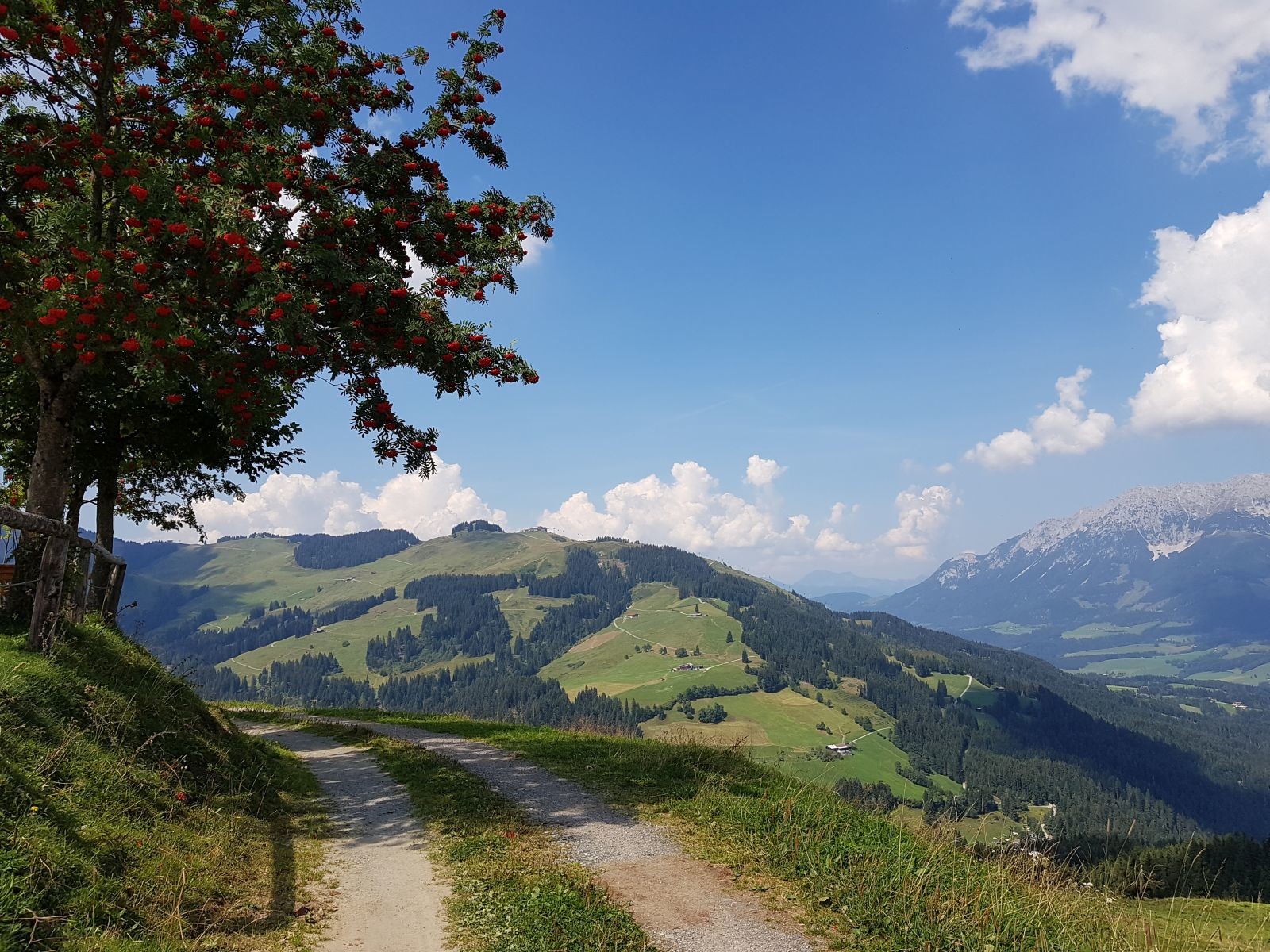 Nun haben wir uns schon höher geschraubt. Der Forstweg hier ist ja auch ganz nett.