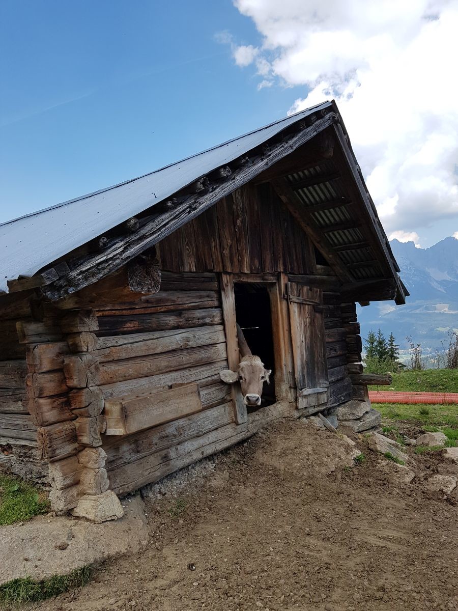 Ein neugieriger Geselle ;-)