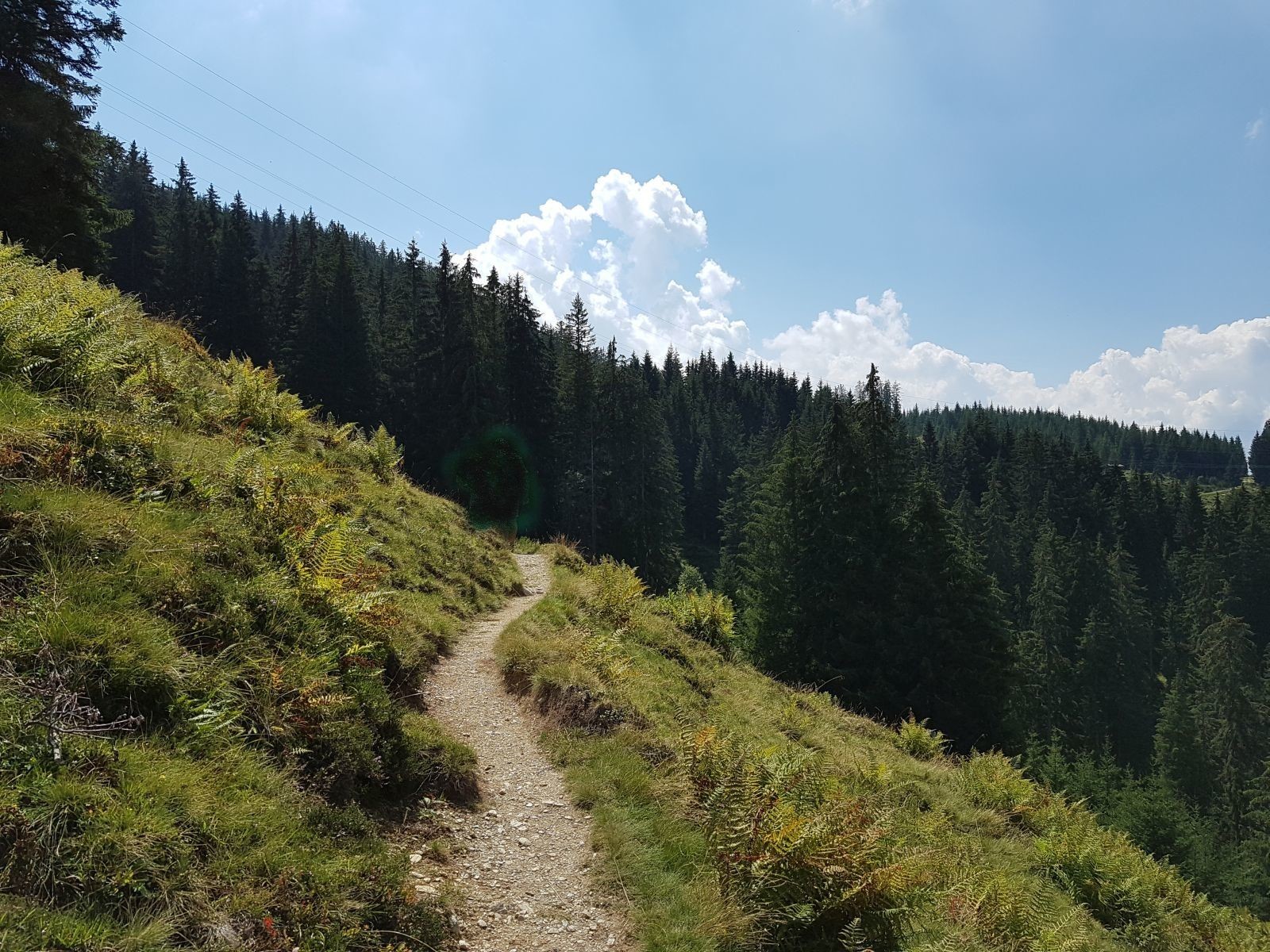 Nun geht es auf einem schönen Pfad weiter nach Westen.