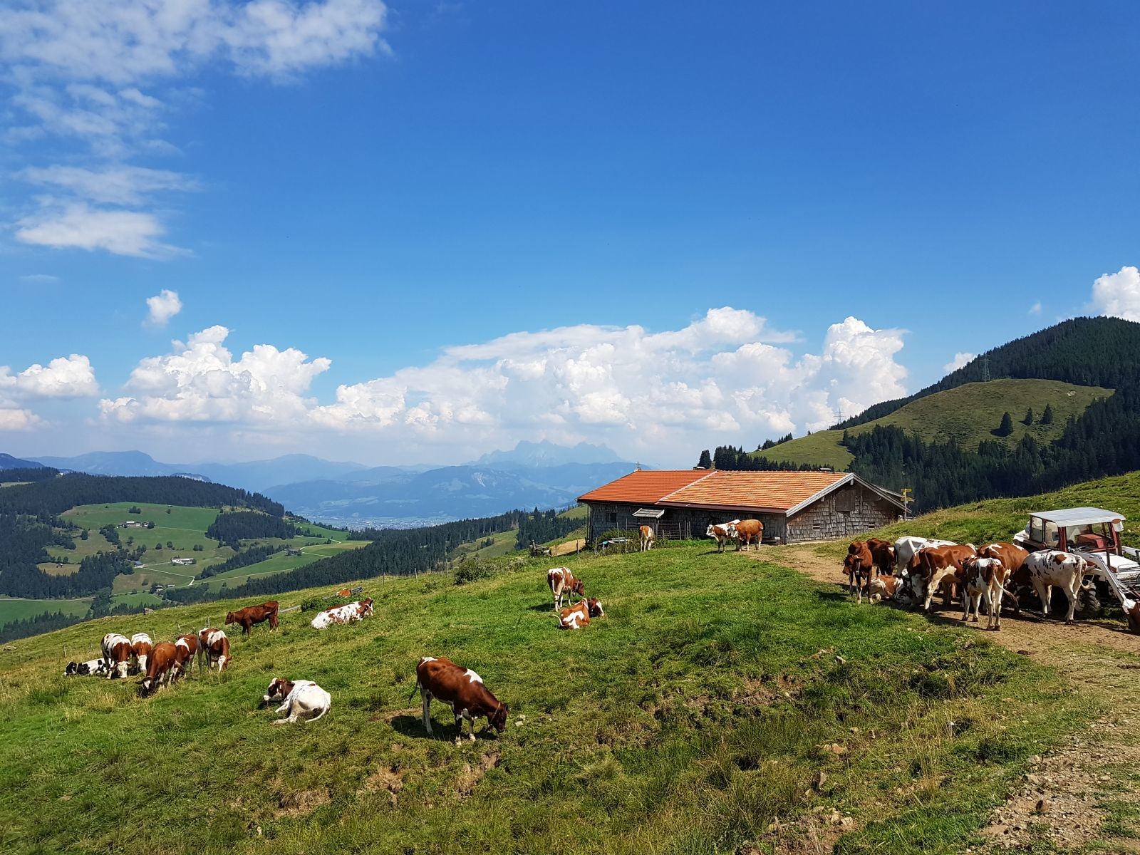 Bereits nach dem Durchqueren des Zwischentals befinden wir uns hier an einer schönen Alm.