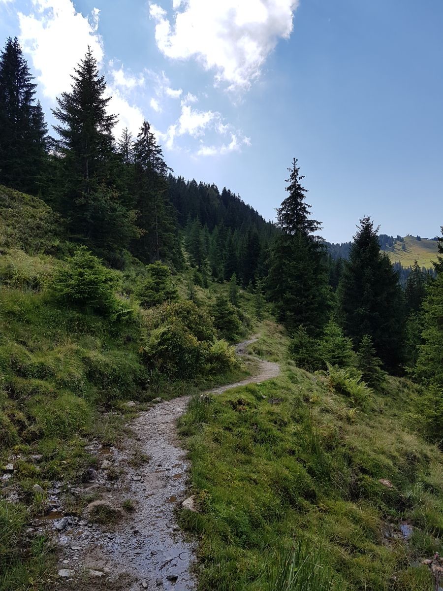 So schön es auch ist, man sollte nicht trödeln, es ist schon 14.47 Uhr! Und wir müssen noch bis zum Zinsberg (im Bild) vor und dann noch ein gutes Stück wieder nach Osten. Nichts wie los!