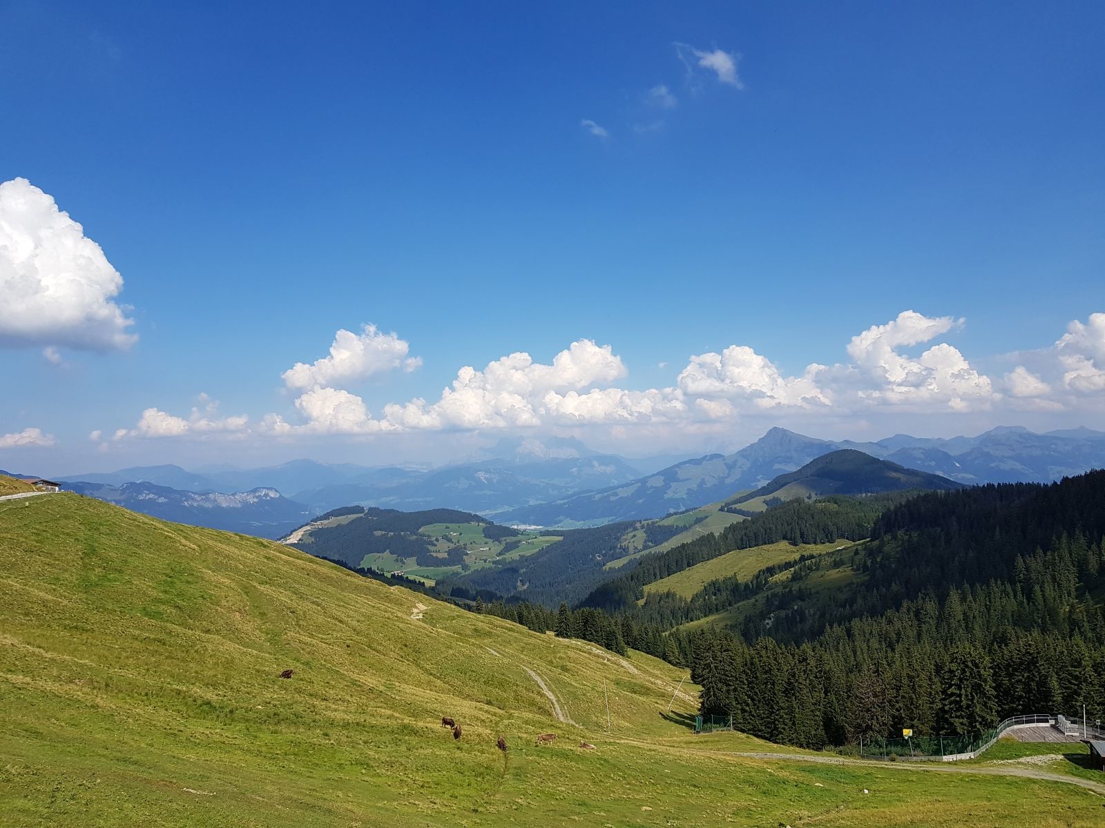 Ok, also zeitlich sieht es doch noch gut aus (15.30 Uhr). Wir sind gerade an der Talstation des Muldenlifts. Neu im Bild ist auch das Kitzbüheler Horn und auch die Ski- und Straßenunterführungsbaustelle am Astberg.