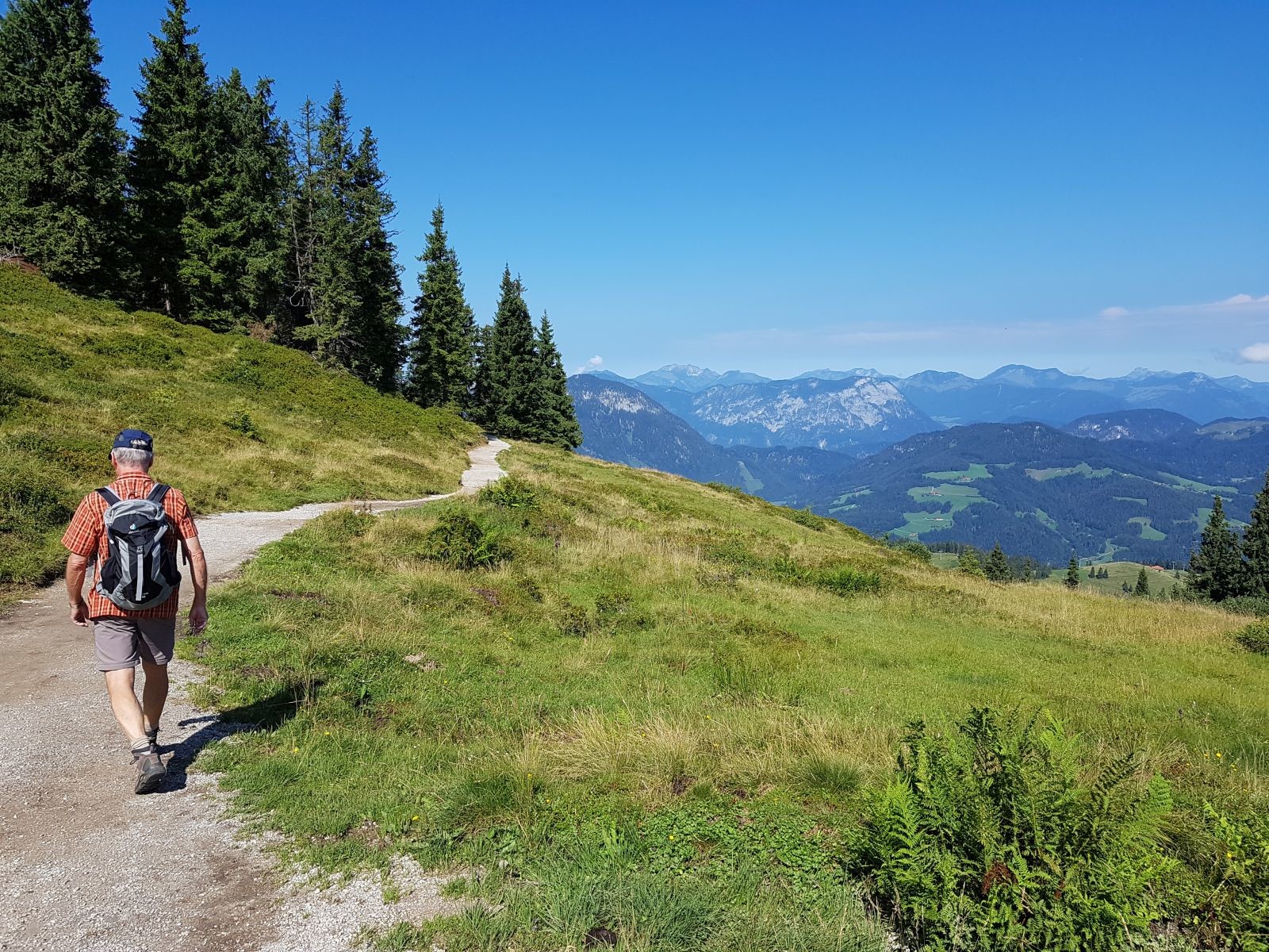 Der Weg in Richtung Brandstadl ist immer ganz nett zu gehen. Und wir sind noch "früh" genug dran, dass es noch nicht voll ist.