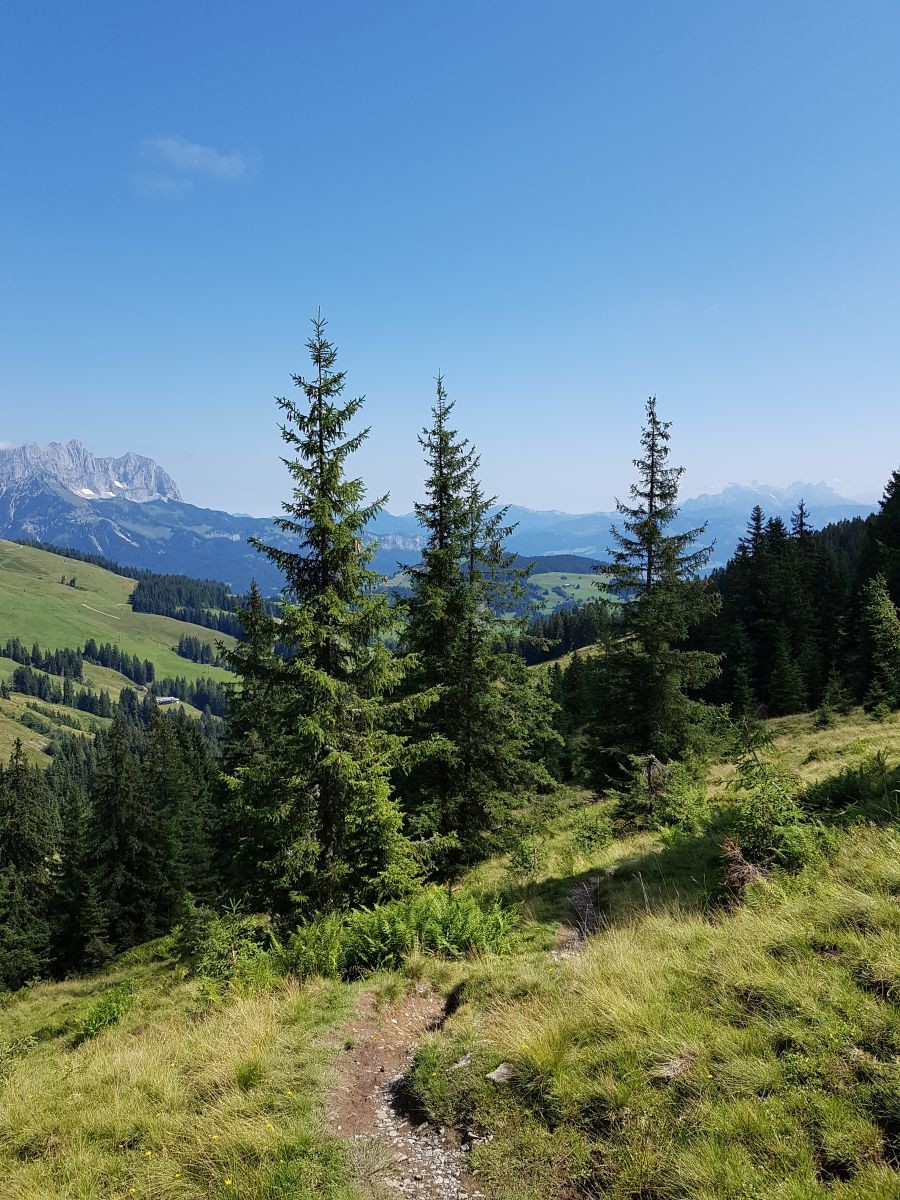 Da kann man sich nicht beschweren.