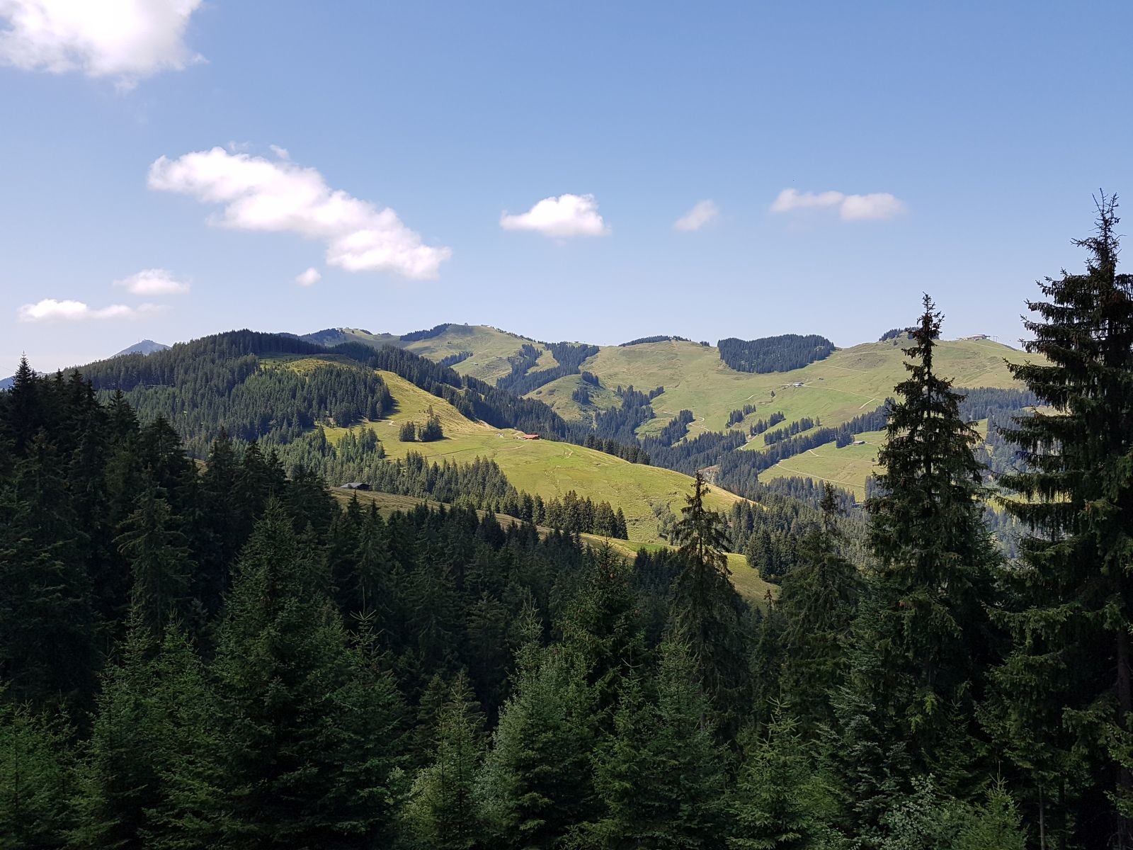 Rückblick nach der Talquerung (von r. nach l.): Hartkaiserbahn, (Ranhartlift), Almbahn, Köglbahn, Kummereralmbahn, Muldenlift.