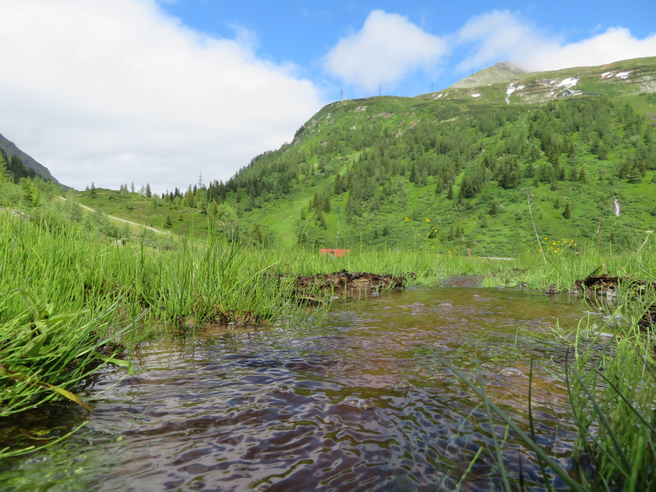 Kleiner Bergbach mit Blick auf die linke schwarze Talabfahrt und die Goldbergbahn.