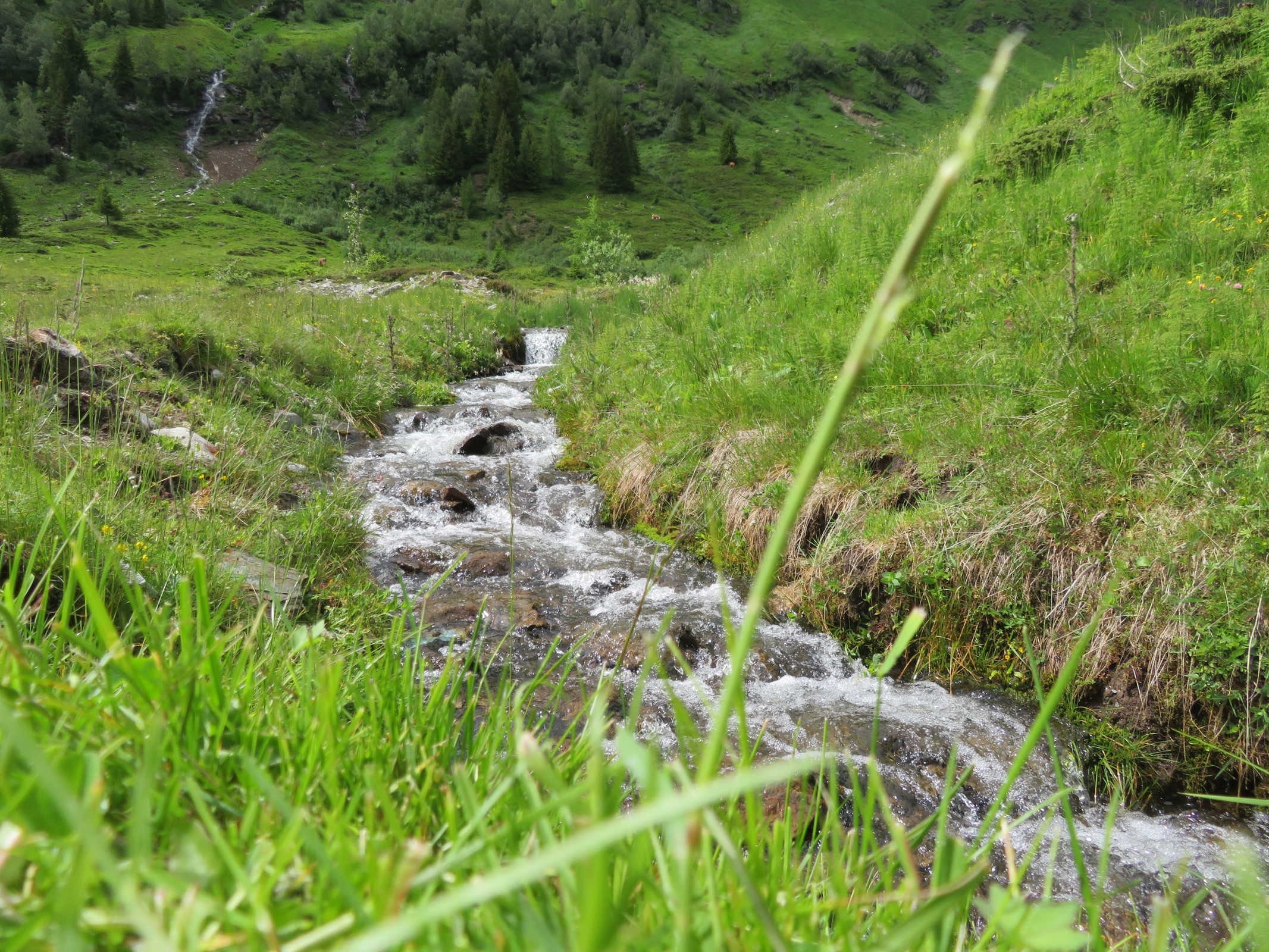 Ein kleiner Bergbach als nettes Fotomotiv :-).