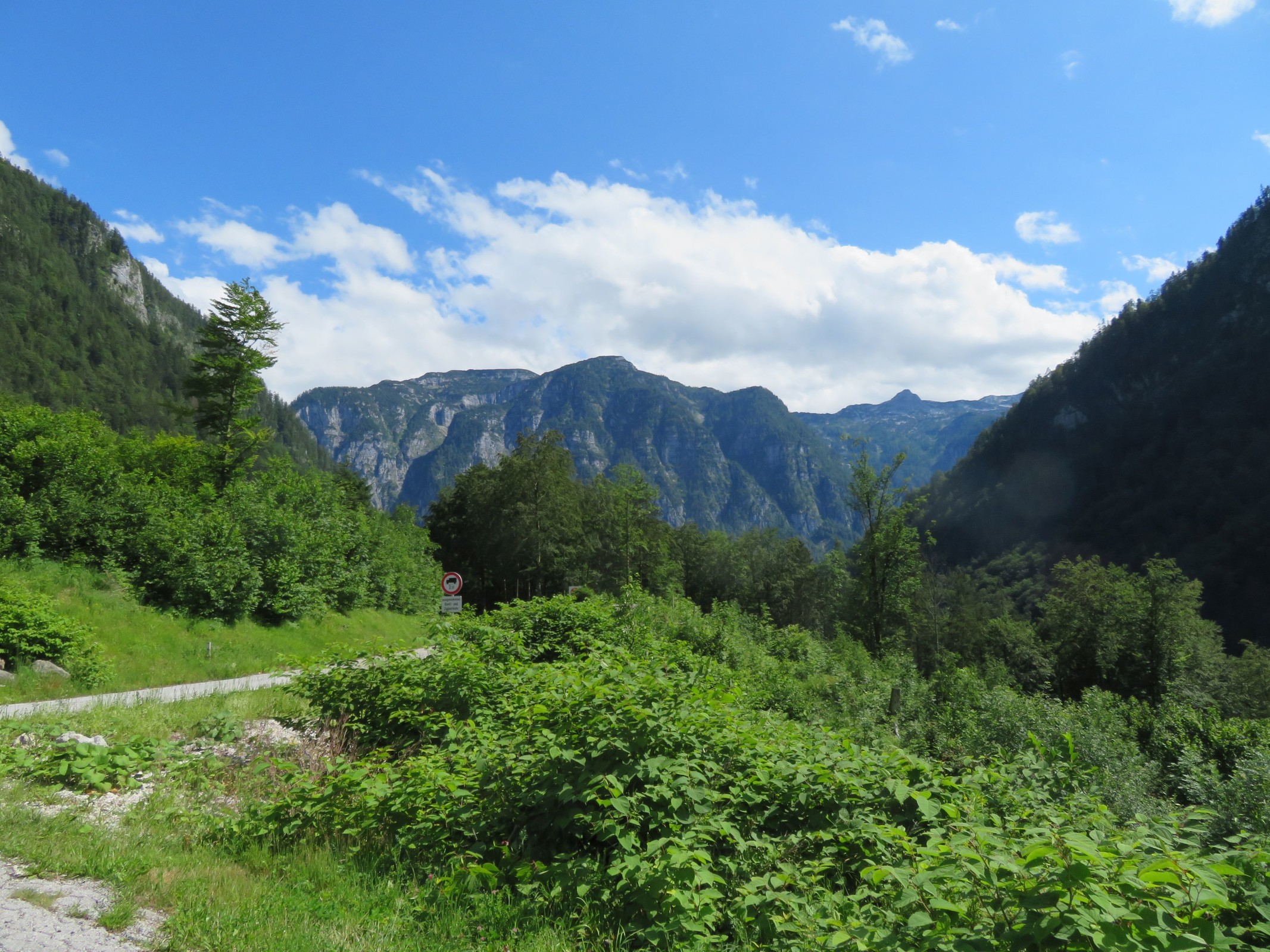 Auf dem Koppenpass und auf dem Weg in Ennstal.
