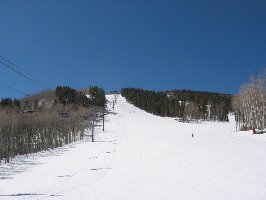 Die Super-Abfahrt &amp;quot;Pitchfork&amp;quot; am Strawberry Park mit &amp;quot;Courchevel&amp;quot;-Schnee: feste Unterlage, darauf leicht aufgefirnt = Lieblingsbedingungen!
