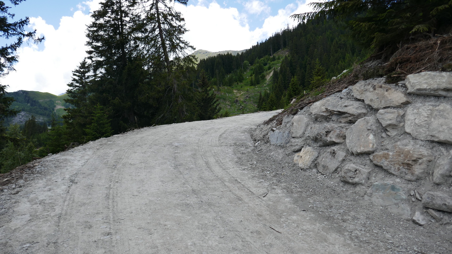 Pistenkorrekturen und Stützmauer