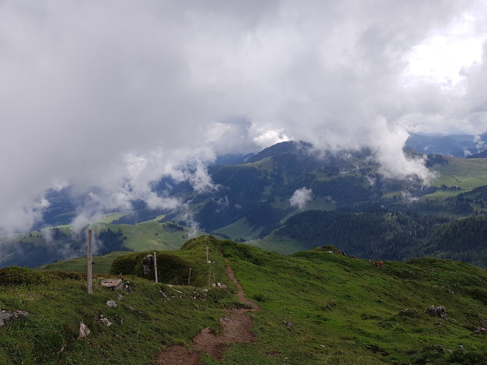 Wegverlauf am Grat. Es war noch etwas schmierig, da es über Nacht geregnet hatte. Mit Stöcken aber kein Problem.