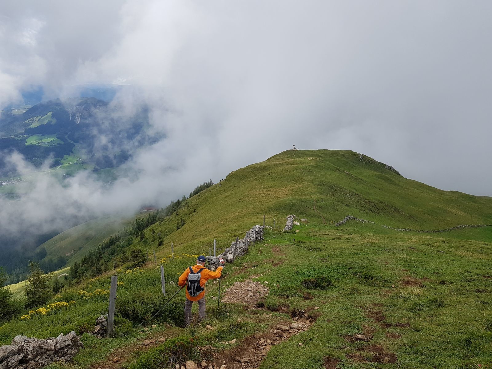 Wir laufen weiter bergab, hinten sieht man einen kopfüber gestellten Baumstamm mit Wurzeln. Dort befindet sich die Hofer Schneid, also unser Wendepunkt.