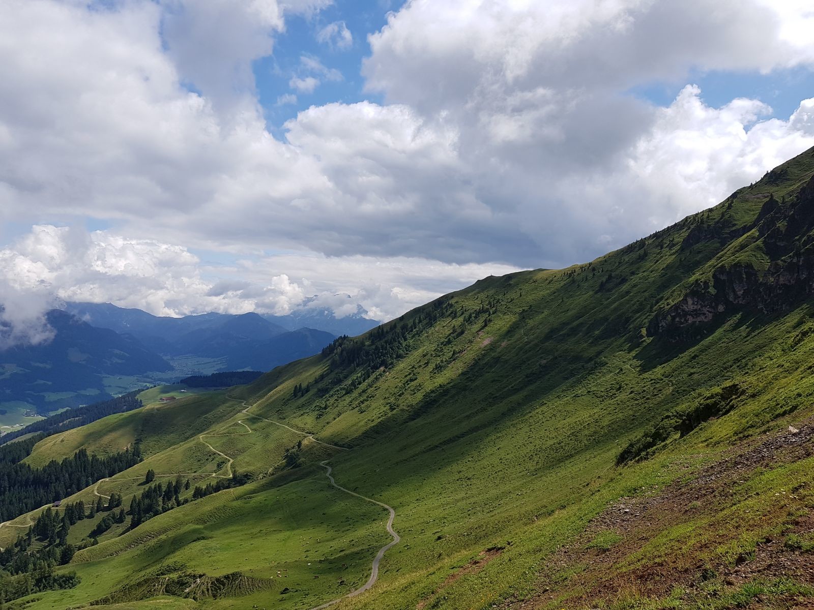 Ein Rückblick, oben am Berg erkennt man wieder ganz klein den umgedrehten Baumstamm, wo wir hergekommen sind.