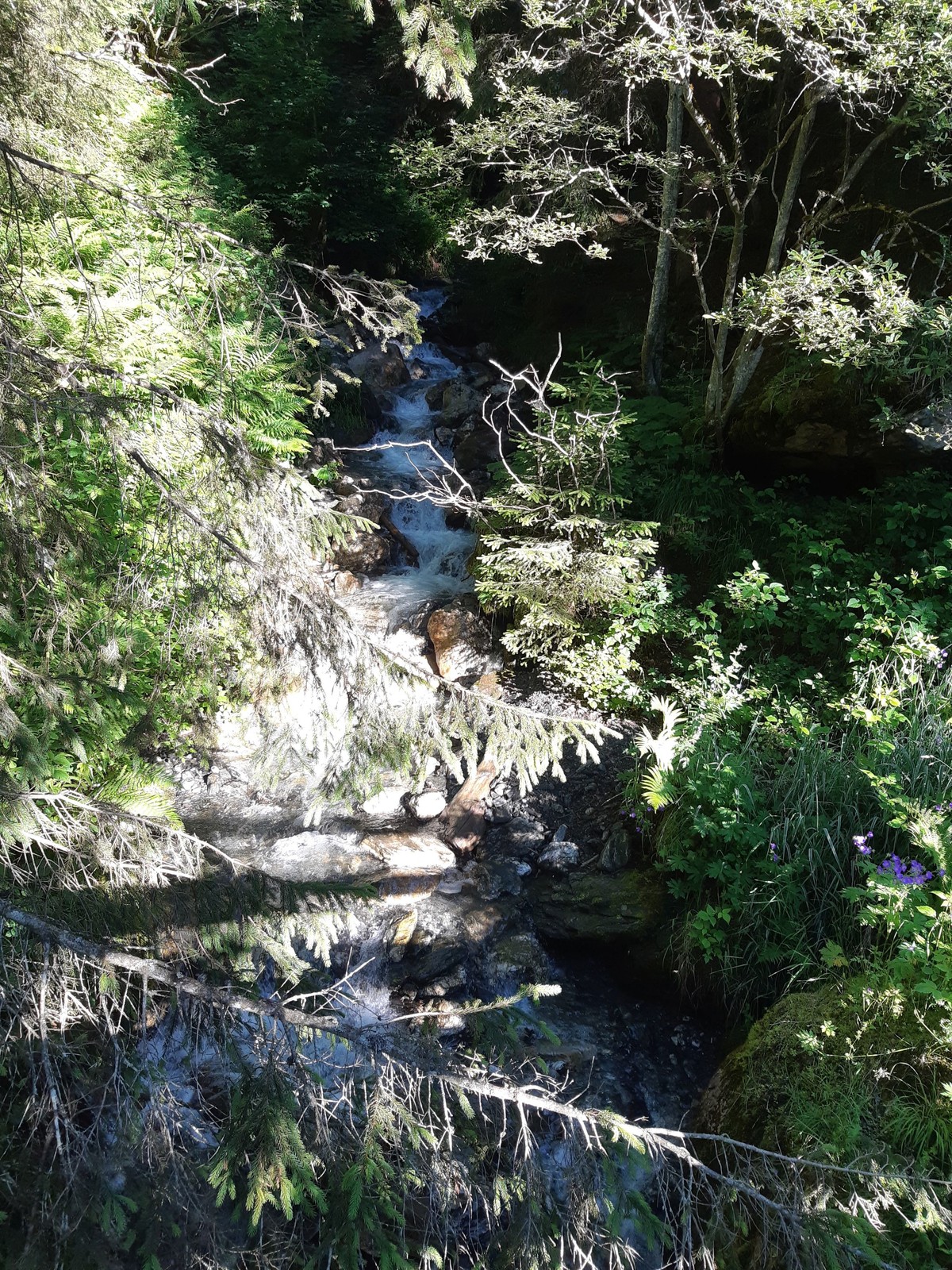 Gleicher Bach, nur bergwärts.