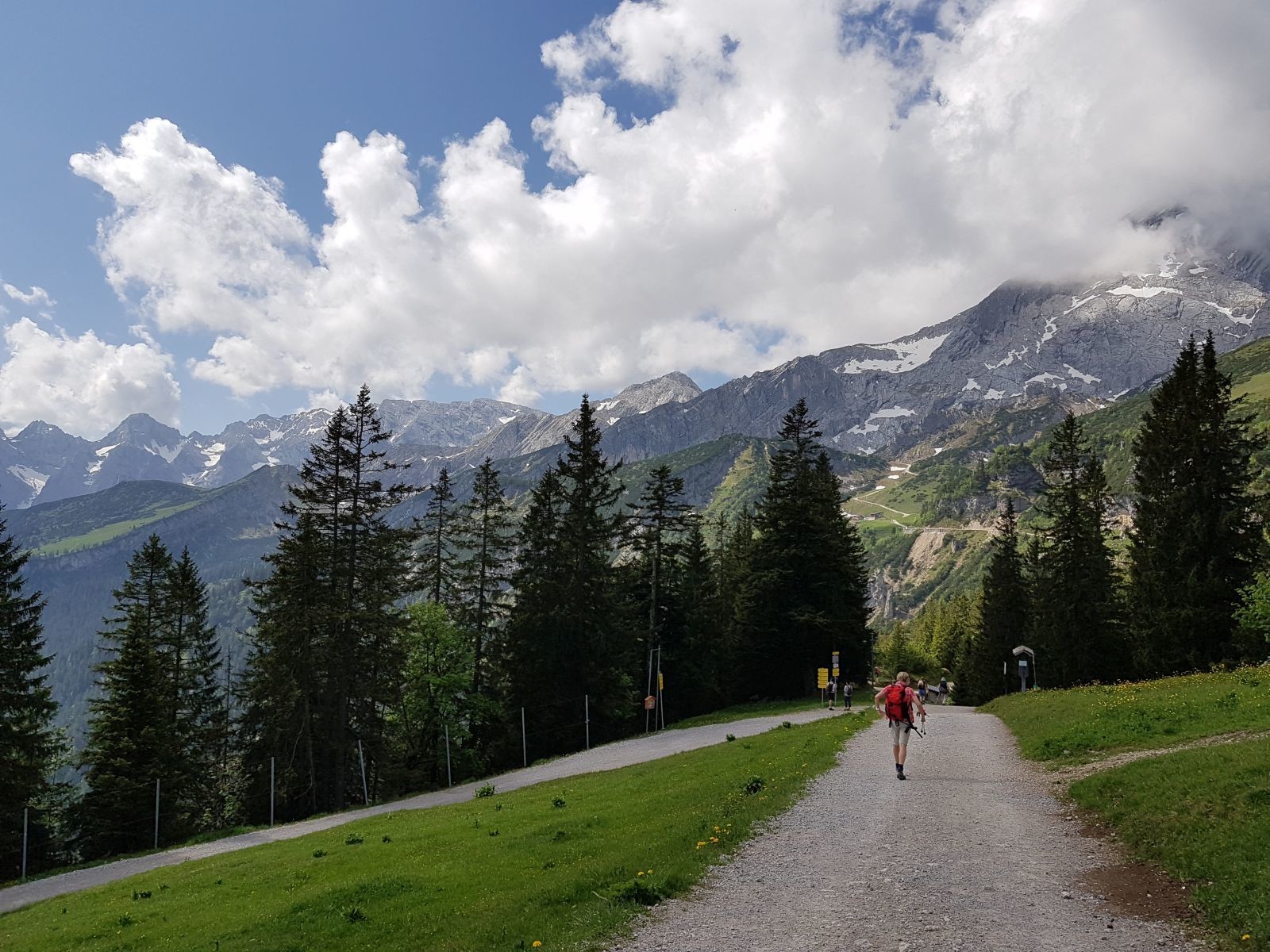 Oben angekommen laufen wir ein kleines Stück auf dem Forstweg. Hinten erkennt man die Hochalm und die dazugehörige PB-Station sowie die Alspitze (r.), die sich hinter den Wolken verbirgt.