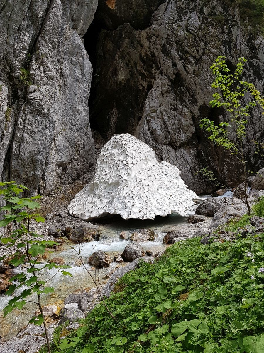 Man meint fast, es würde schweben.