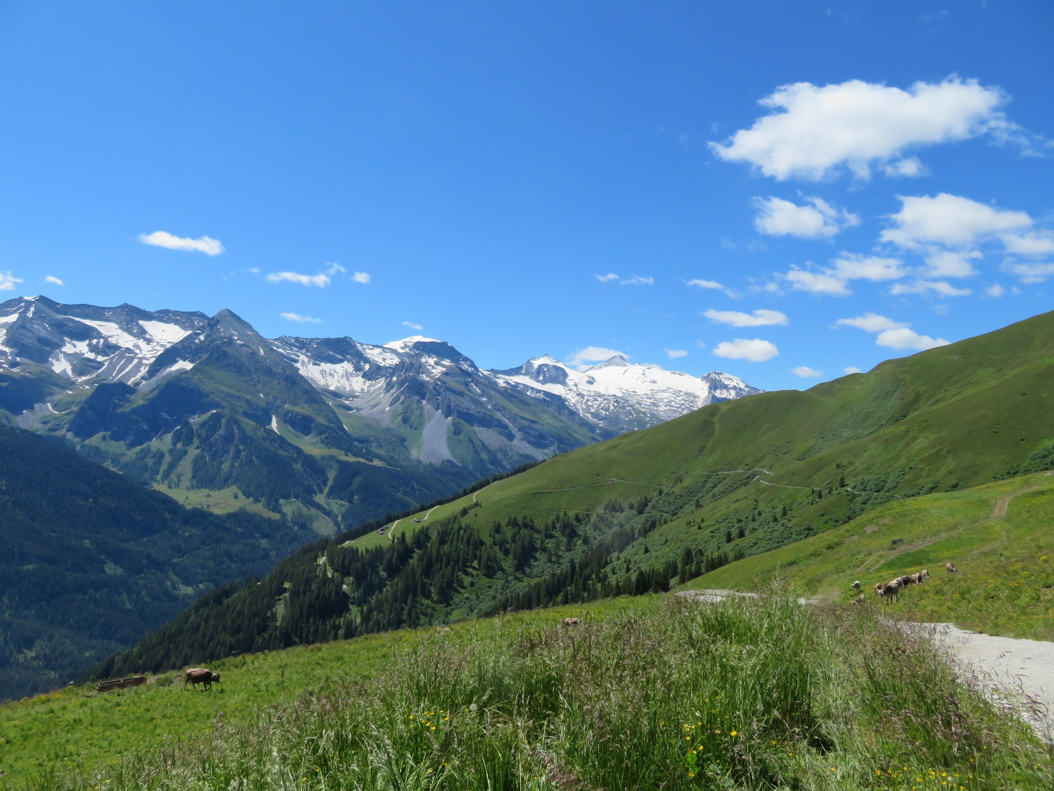Nun schauen wir in Richtung des Gletschers, den ich zwei Tage später für drei Tage zum Skifahren besuchen sollte.