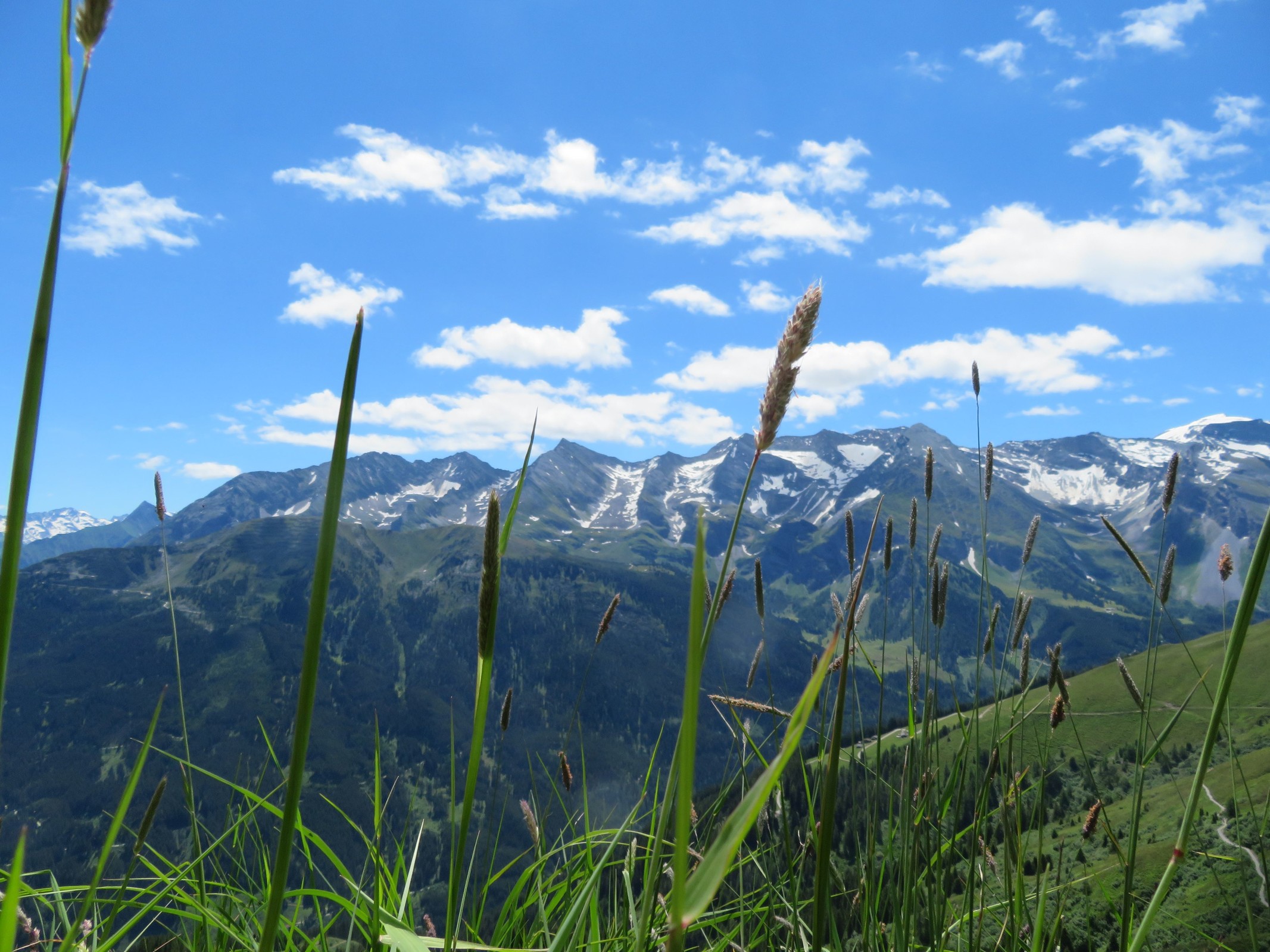 Vegetation und Bergwelt ergeben nicht selten zusammen interessante Motive ;-).