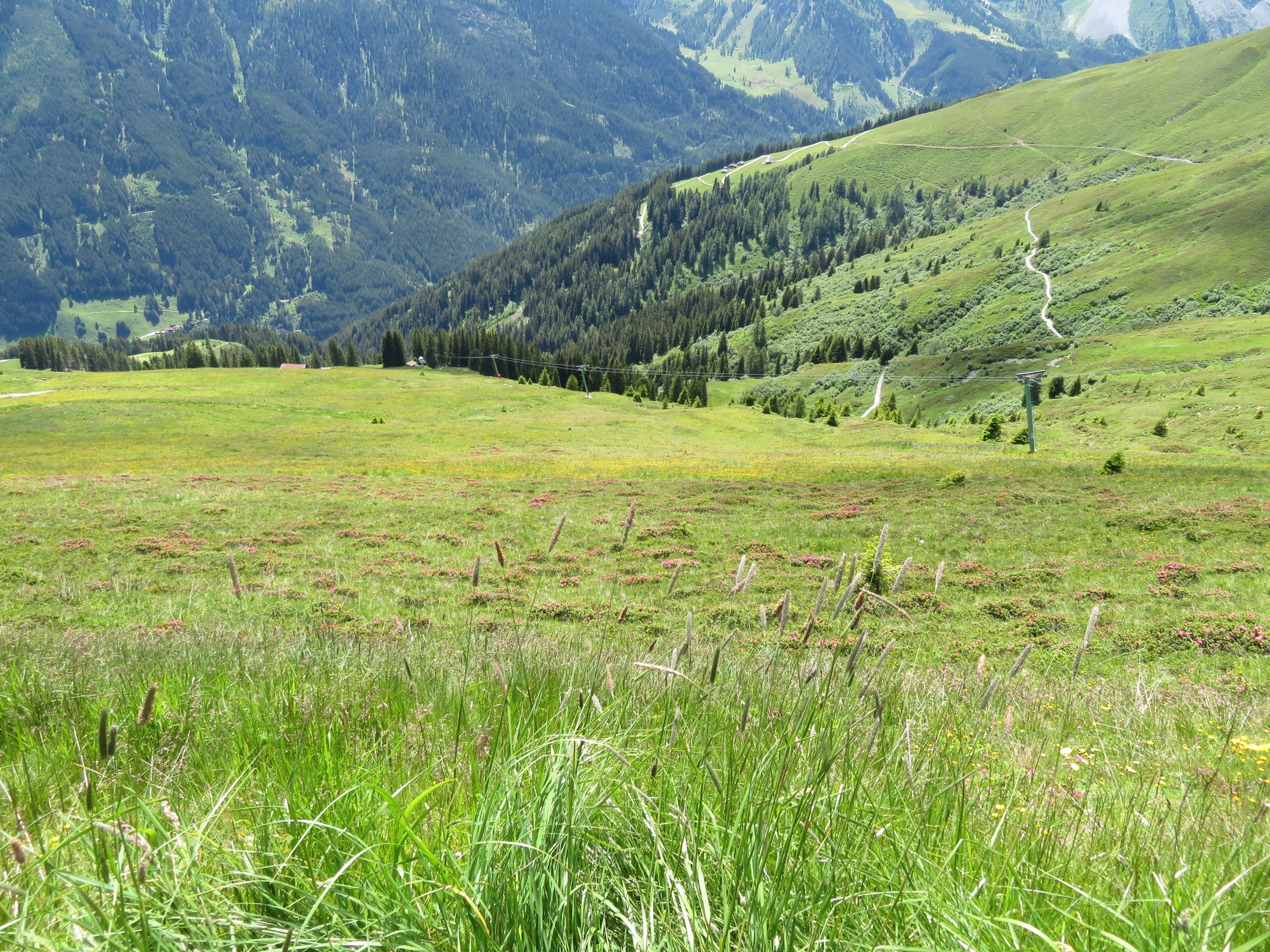 Blick entlang der roten Beilabfahrt am Beilspitzlift.