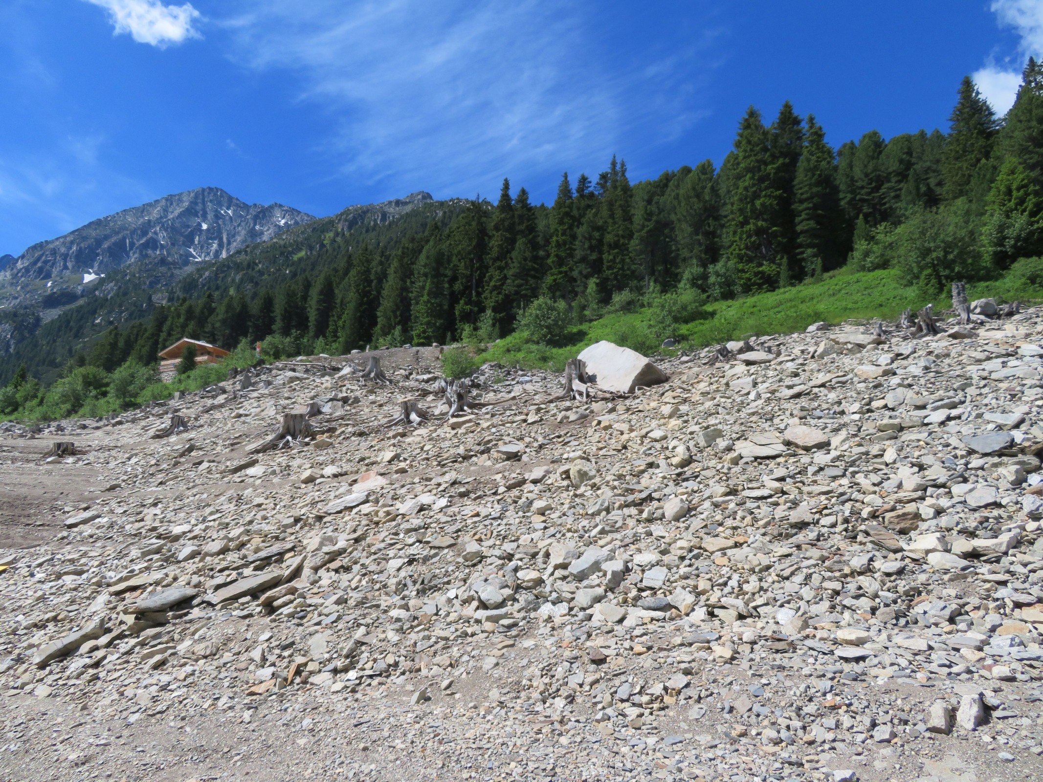 Blick auf vermutlich in den 1960er Jahren abgeholzte Bäume. Die Hütte links kann ich nicht zuordnen, da es sich eigentlich nicht um Helmut’s Fischerhütte handeln kann, denn die sieht eigentlich anders aus... Kann die jemand zuordnen?