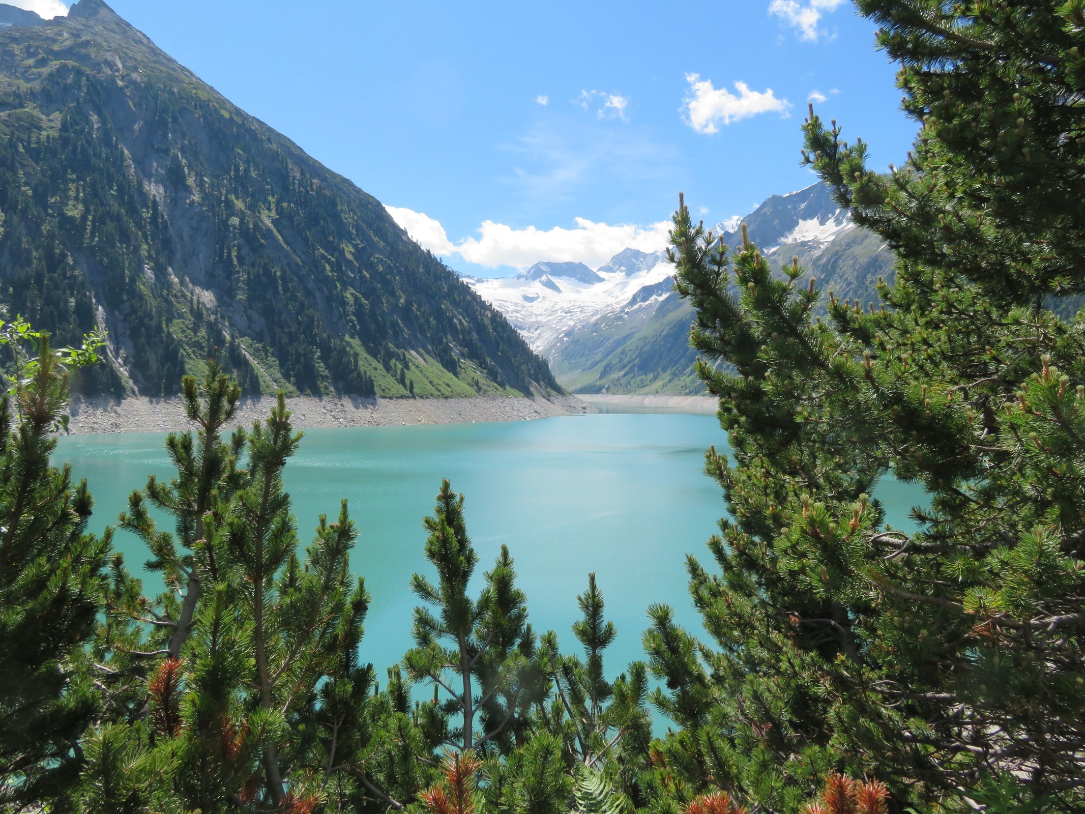 Durch Nadelbäume hindurch schauen wir mal wieder auf das östliche Ufer des Speichers.