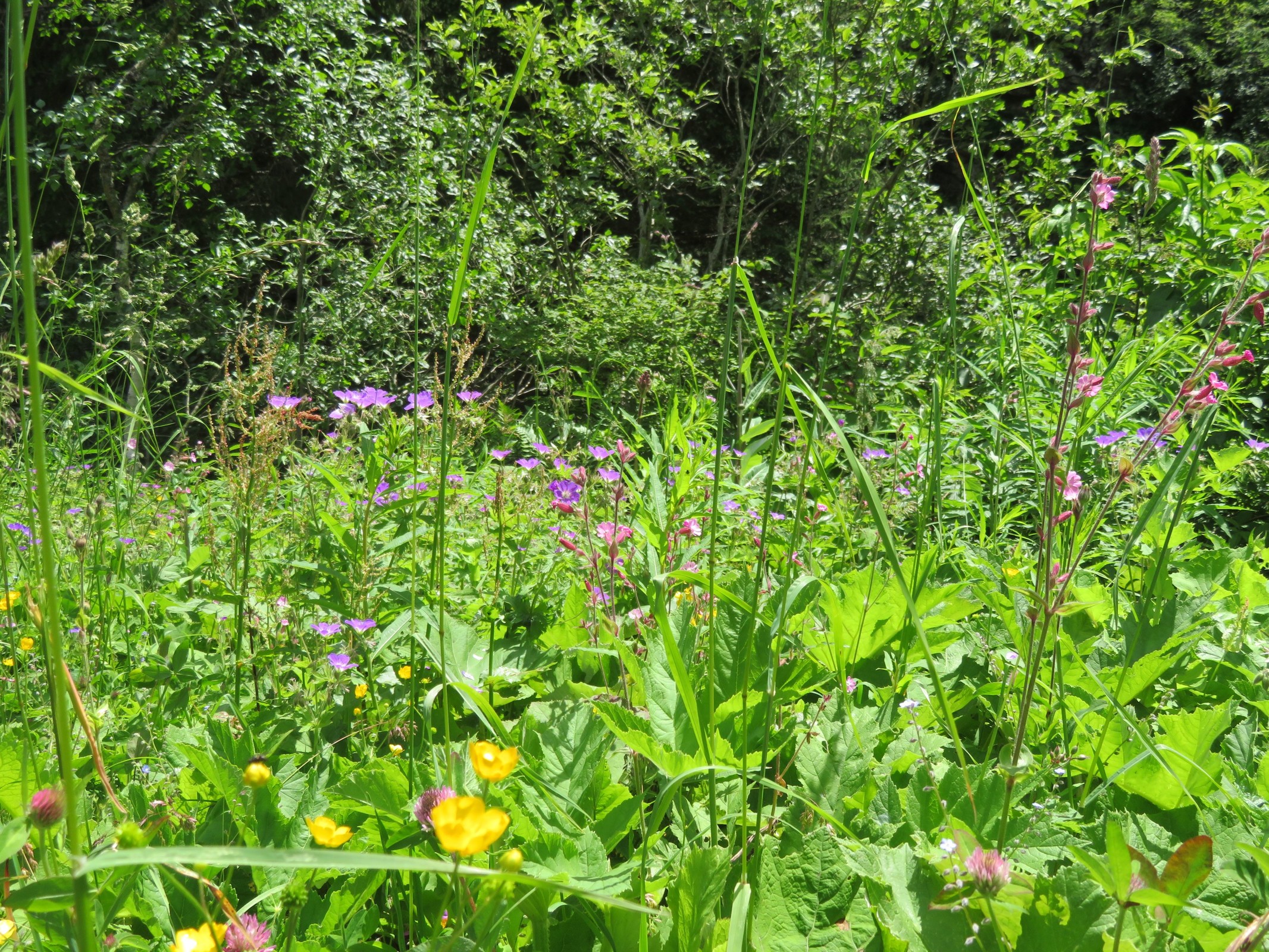 Und noch ein Bild zum Abschluss. Nun ging es weiter zum Ahorn. Bericht folgt heute im Laufe des Tages.