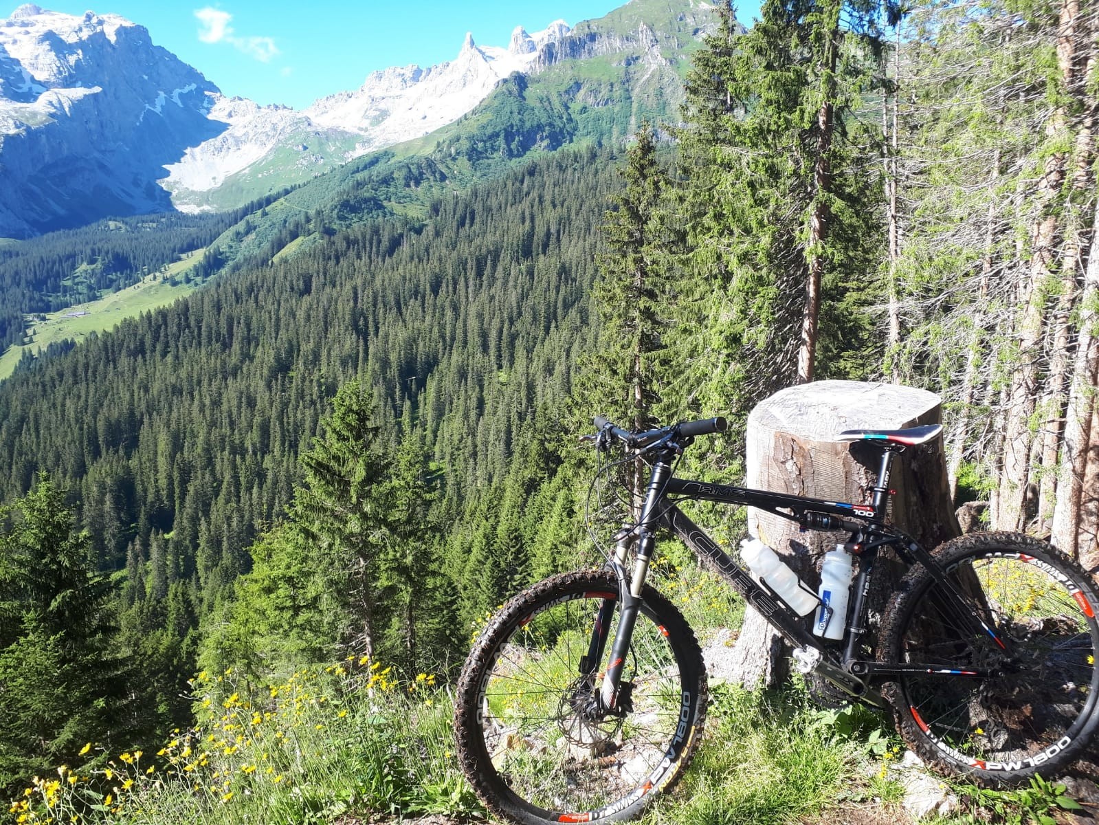 WhatsApp Image 2020-07-19 at 10.21.09 (5).jpeg