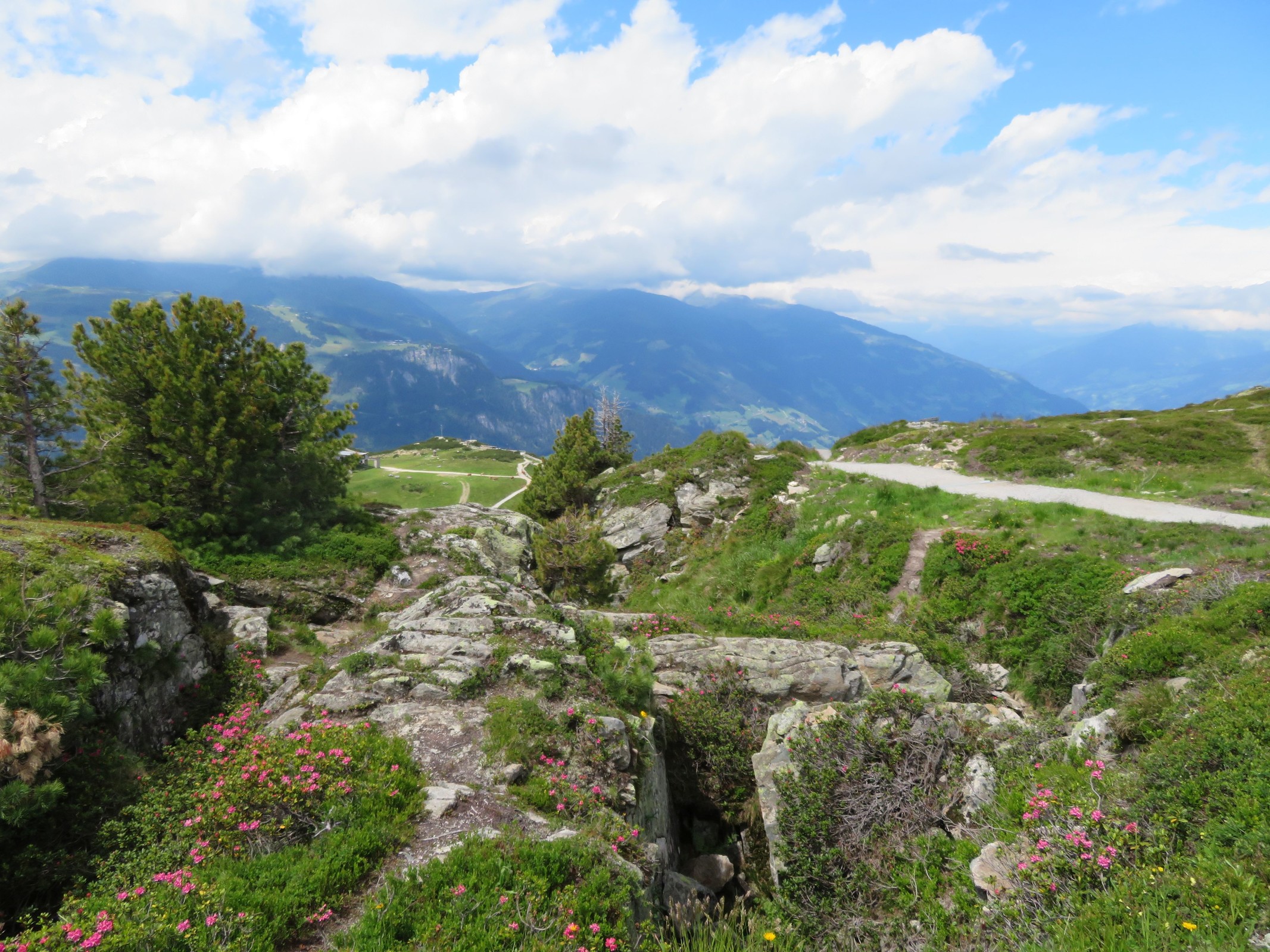 Blick zum hinter den Felsen und Büschen versteckten Ahornplateau.