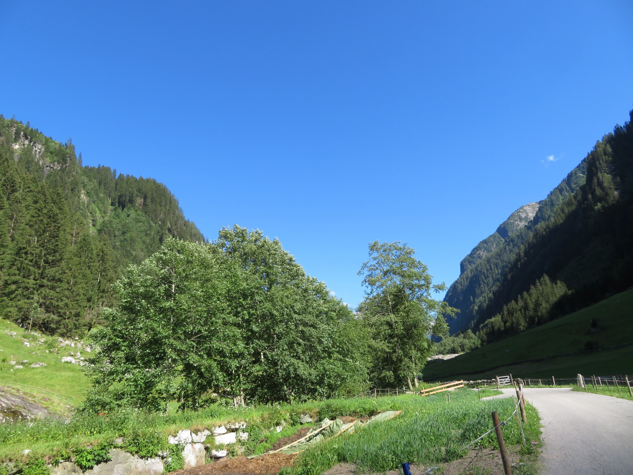 Und noch einmal der Blick zurück - dämlicherweise hier gegen Bäume ;-).