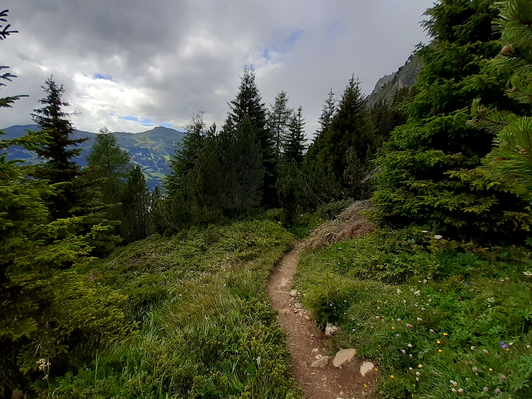 Hier befinden wir uns bereits unterhalb der Alp Sanaspans im Wald. Diesen Wegabschnittrechts des Flusses bin ich schon seit Jahren nicht mehr gegangen. Ich war überrascht, wie ausgesetzt der Weg teilweise ist. Das hatte ich so nicht mehr im Kopf.