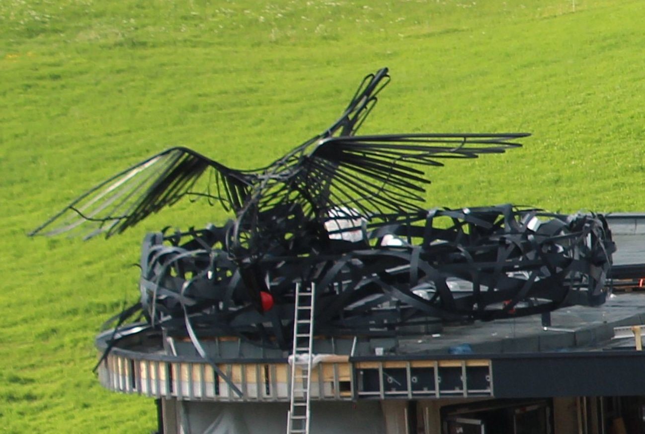 im Rabennest gelandet ...