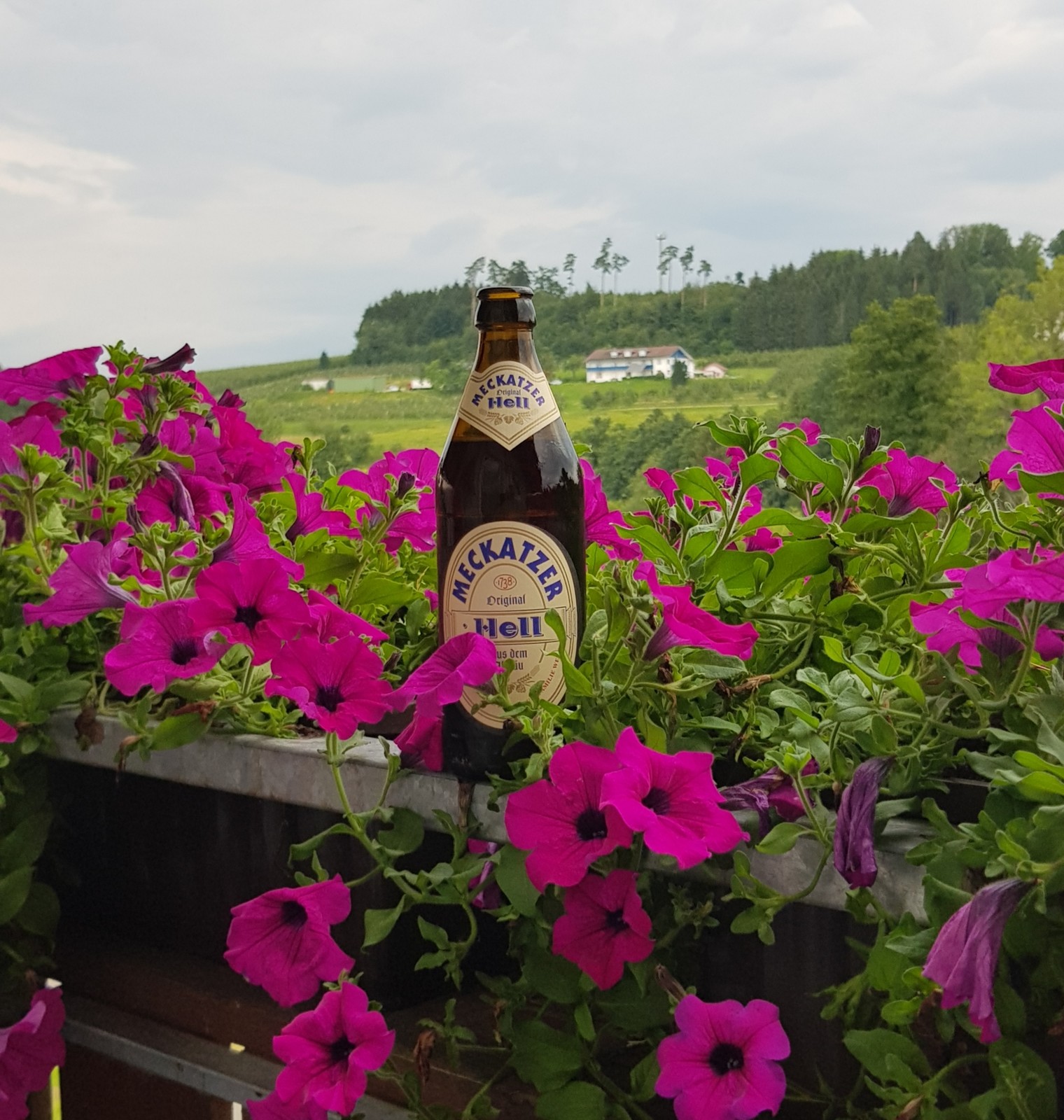 Jetzt gerade auf dem Balkon der Fewo