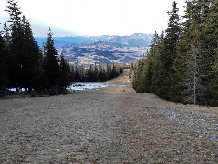 rote Abfahrt, rechts müsste der SL Sender verlaufen sein