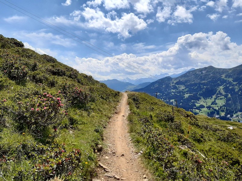 Traverse Richtung Scharmoin