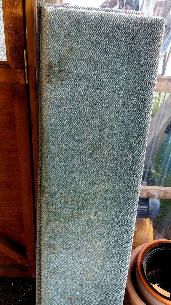 Original Sitzpolster.jpg