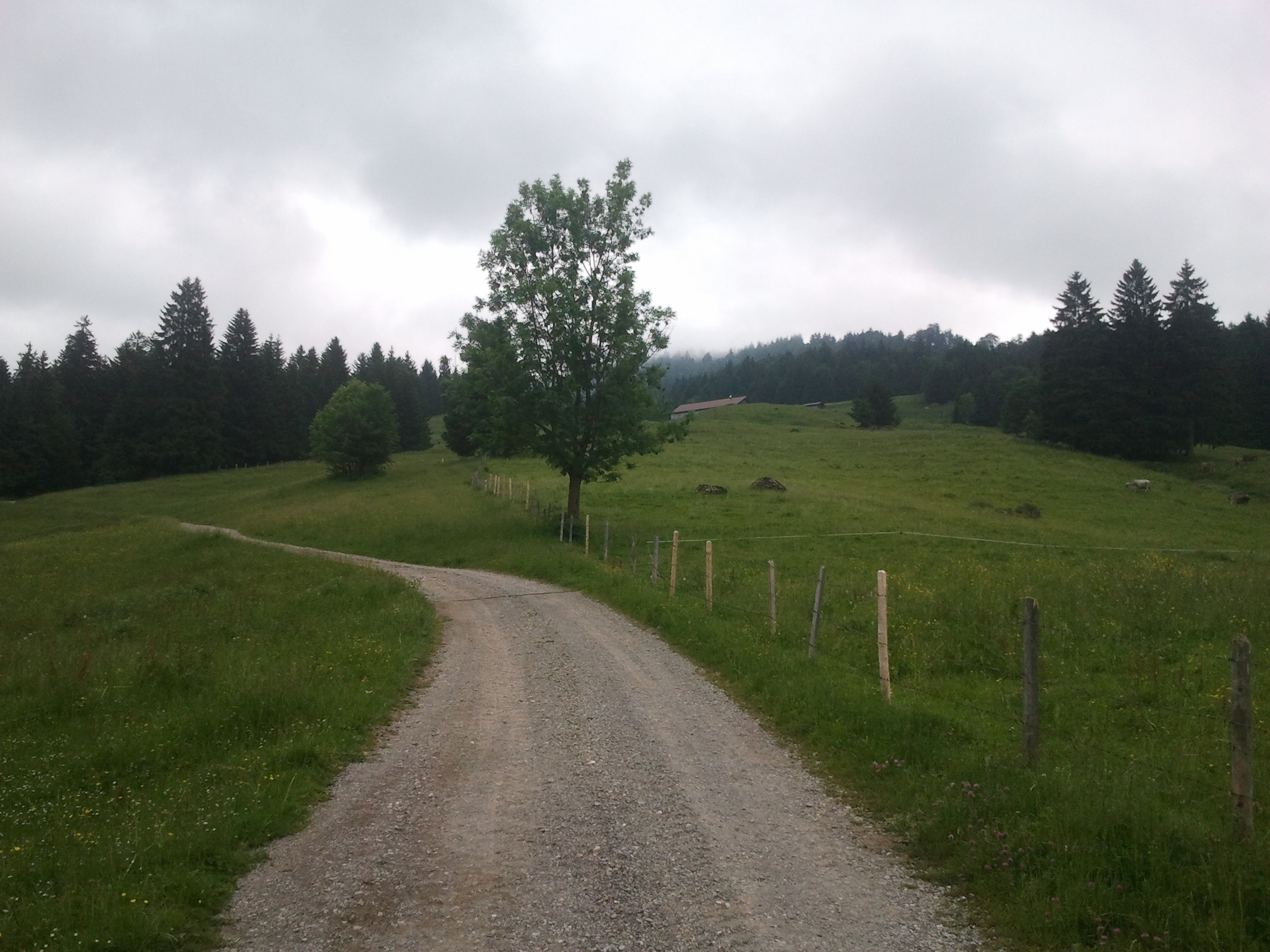 2013-06-23 09.44.52.jpg