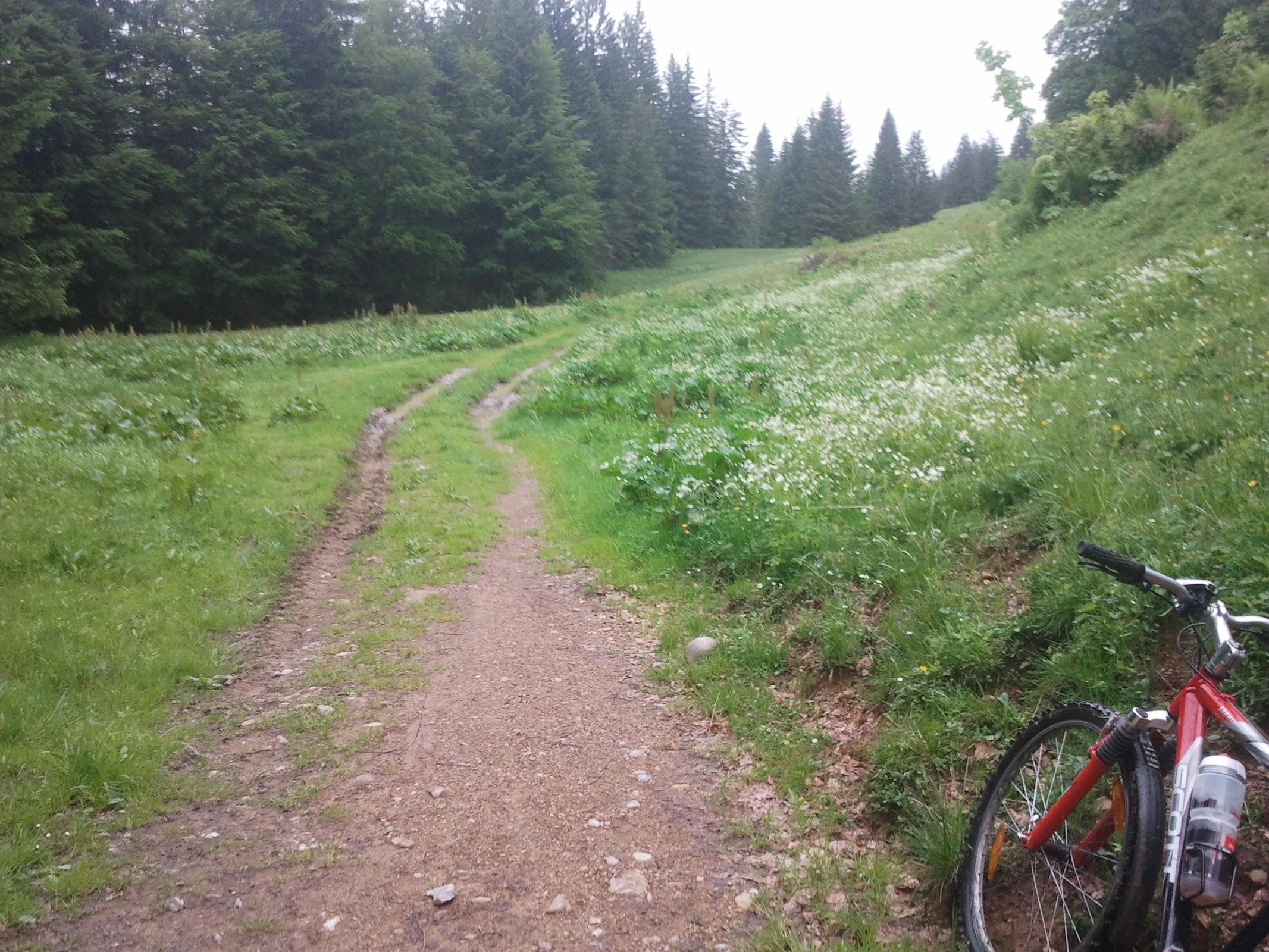 2013-06-23 11.16.21.jpg