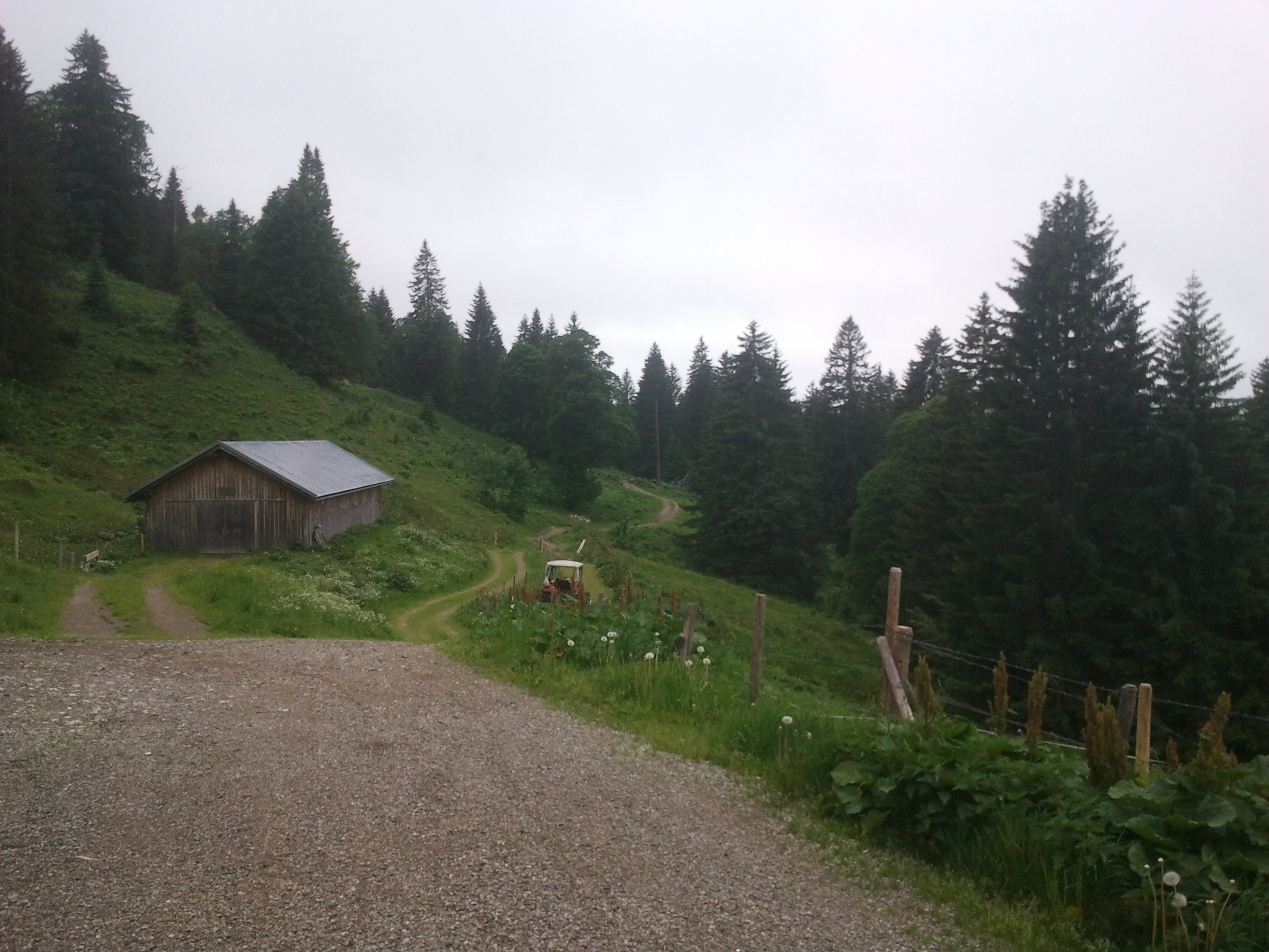 2013-06-23 11.27.09.jpg