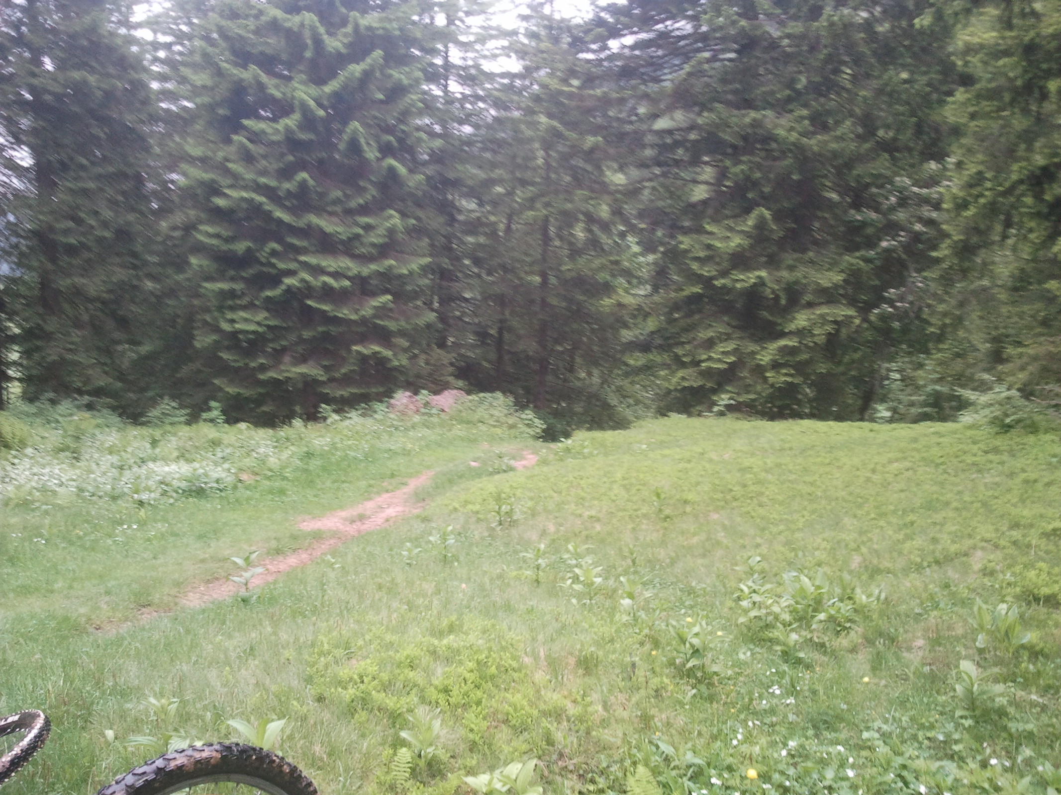 2013-06-23 12.29.17.jpg