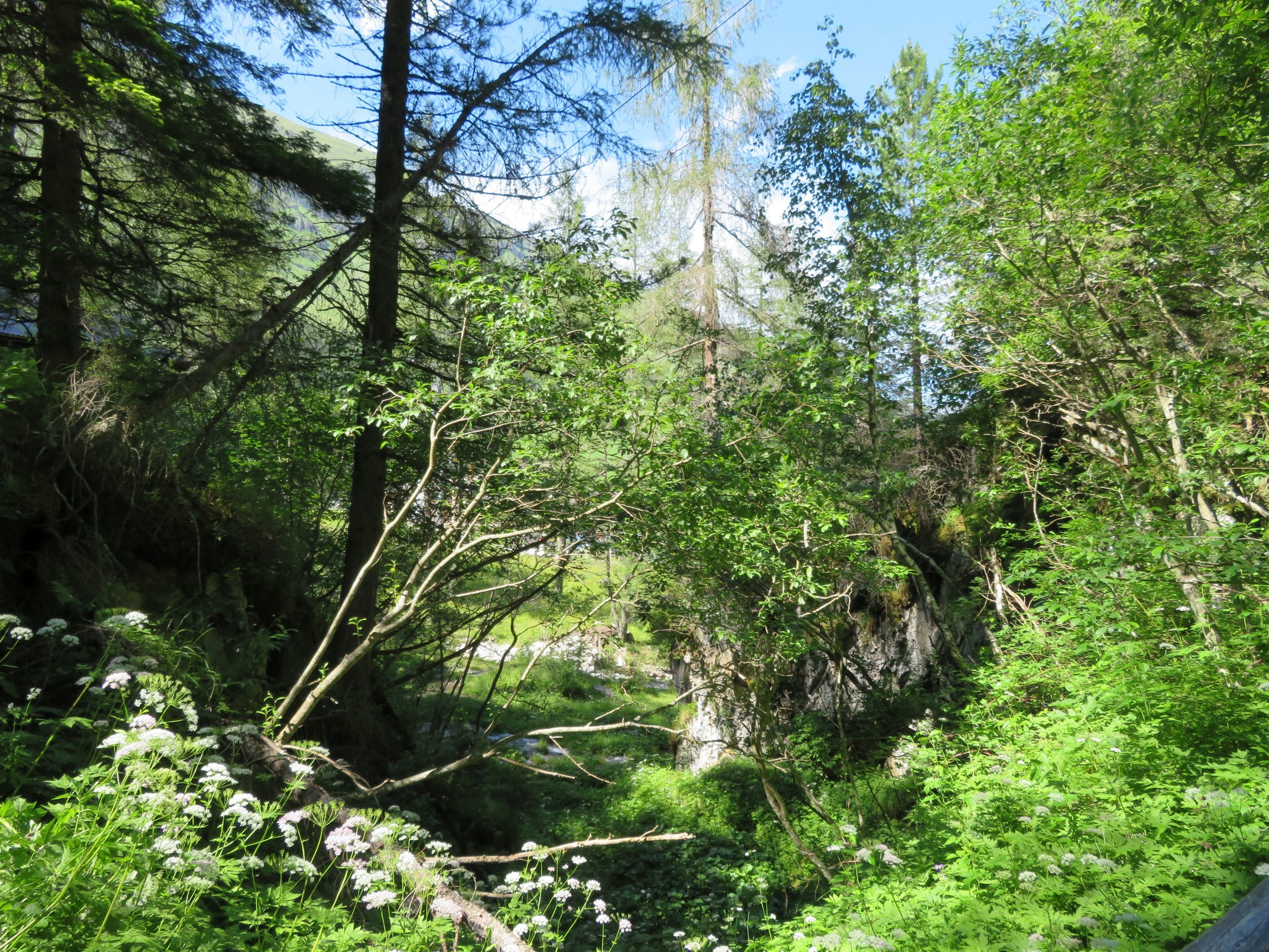 Und nun unten in der Nähe des Wasserfalls um 15.49 Uhr angekommen.