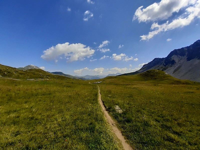 Matte oberhalb des Schwellisees. Links auf dem Berggipfel ist die Bergstation der Aroser Weisshornbahn zu erahnen.