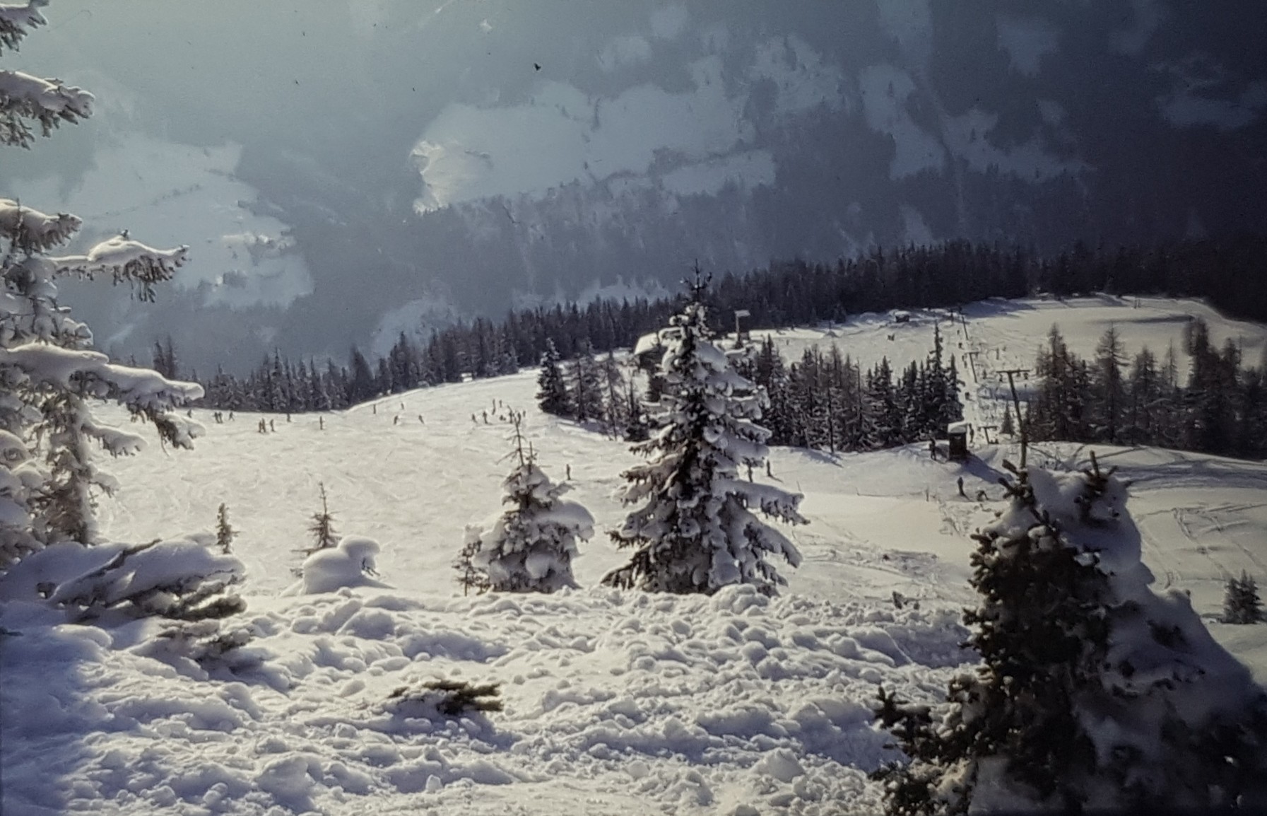 Der besagte Lift auf dem oberen Teil der Trasse des heutigen Lumberjack Shuttles in verschneiter Landschaft :)