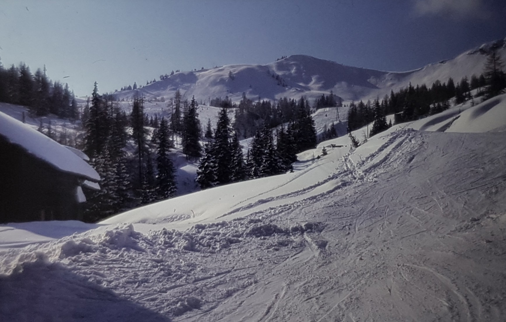 Das müsste der Saukarkopf sein, von der Frauenalmhütte aufgenommen. Wer genau hinsieht erkennt auch die Skipiste links zwischen den Bäumen, die vom Mooskopf kommt, sowie die Talstation des dazugehörigen Schleppers (Powder-S.).