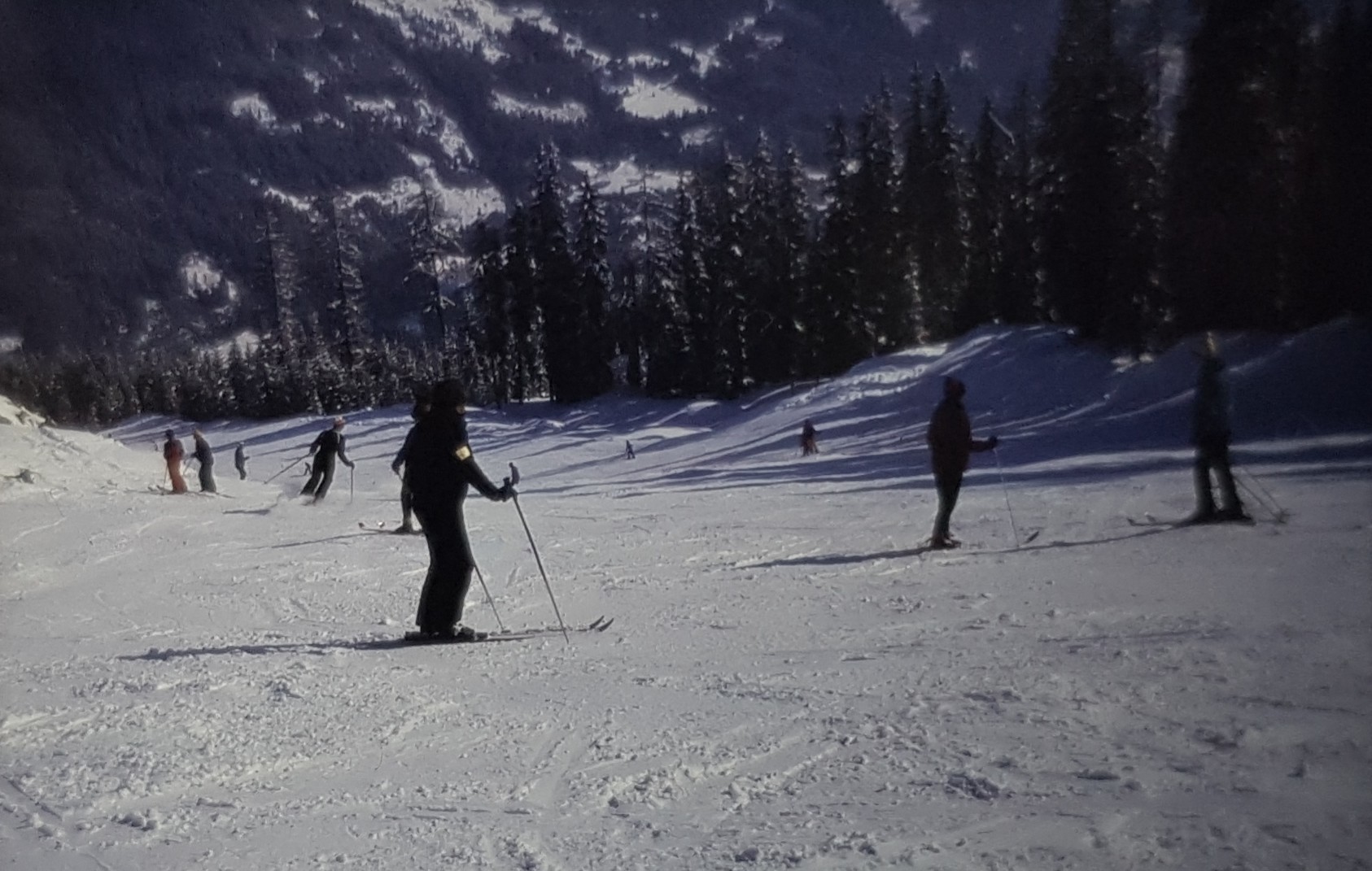 Etwas weiter unterhalb, Blick talwärts auf Flachauwinkl, das hinter den Bäumen liegt.